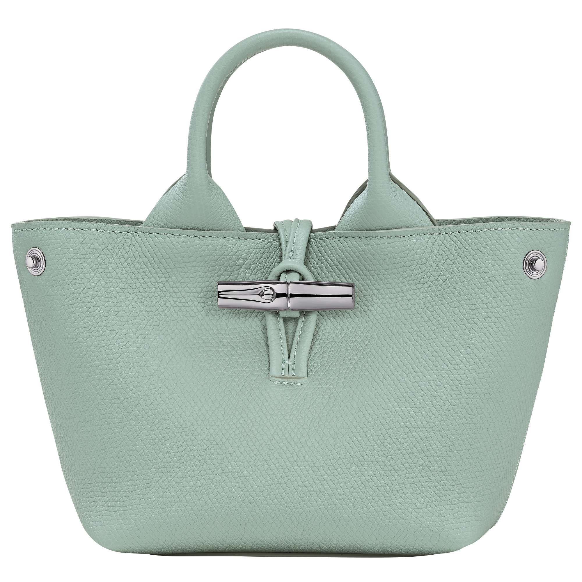 Le Roseau XS Handbag Celadon - Leather - 5
