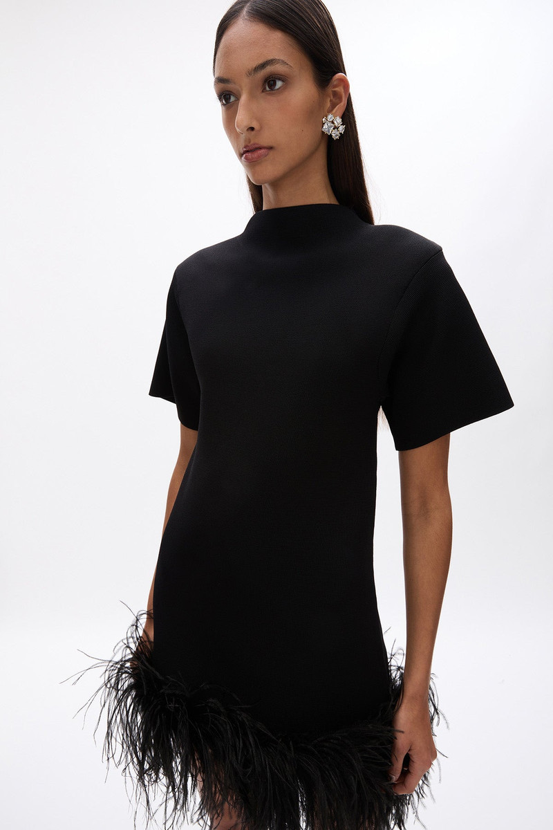 RACHEL GILBERT RITA MINI outlook