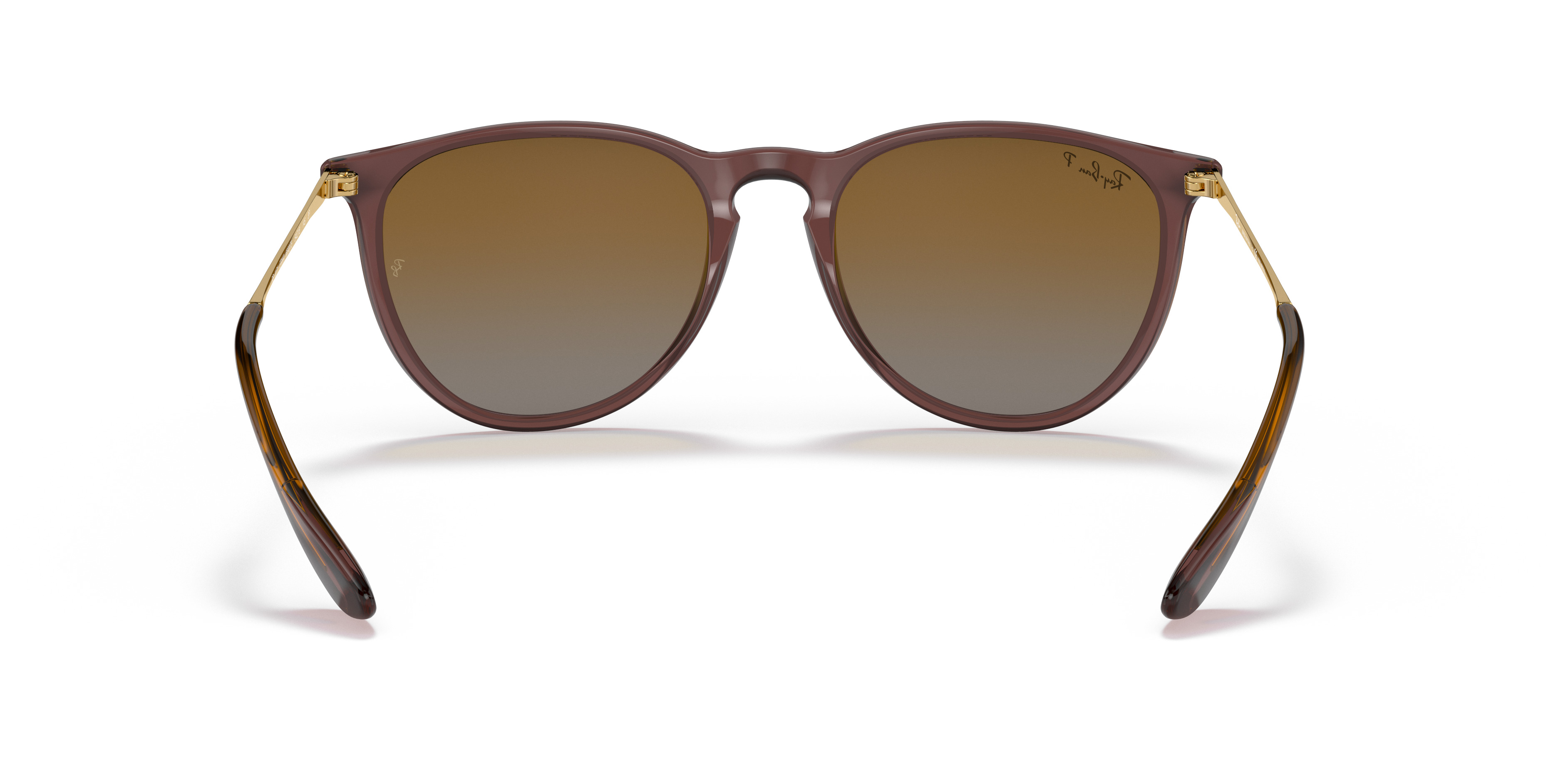 RB4171 Erika Classic - 4