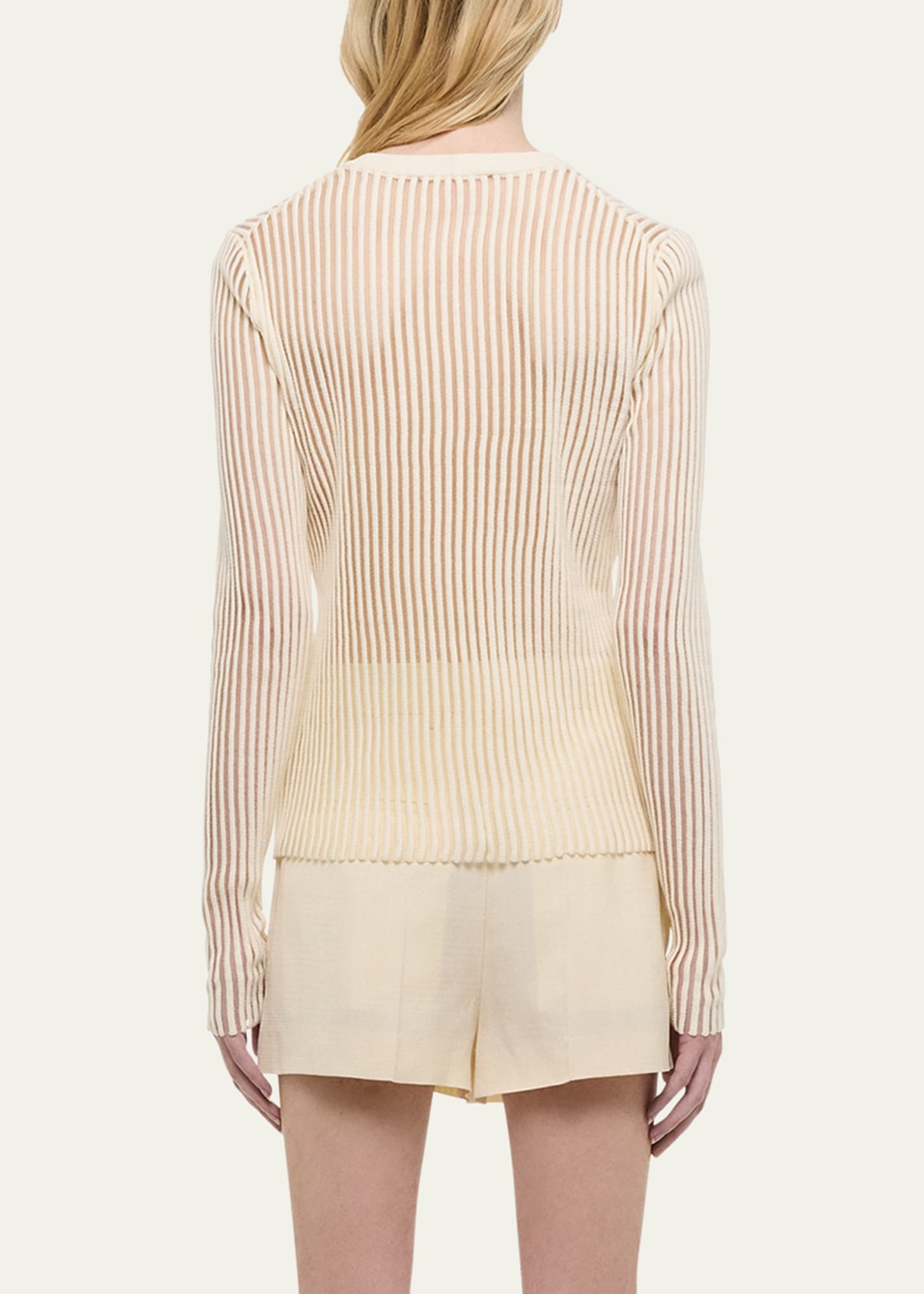 Sheer Stripe Crewneck Top - 3