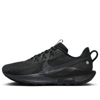 Nike Nike Pegasus Trail 5 'Black Anthracite' DV3864-002