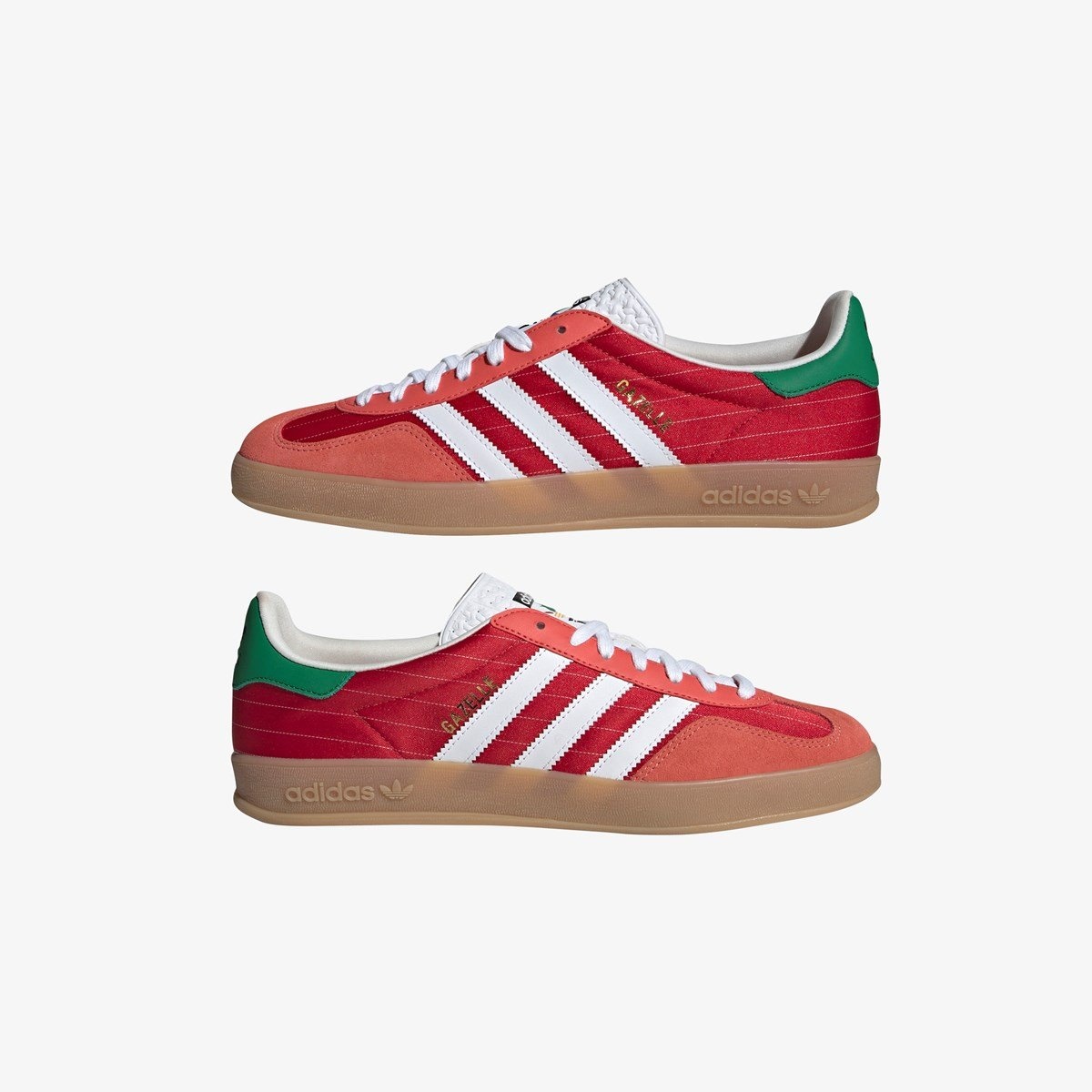 Gazelle Indoor - 9