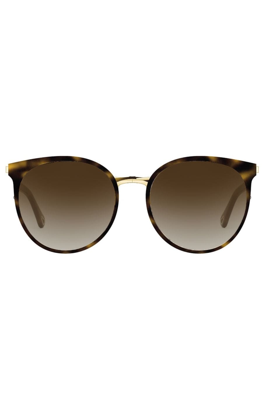 Acetate Sunglasses - Havana - 1