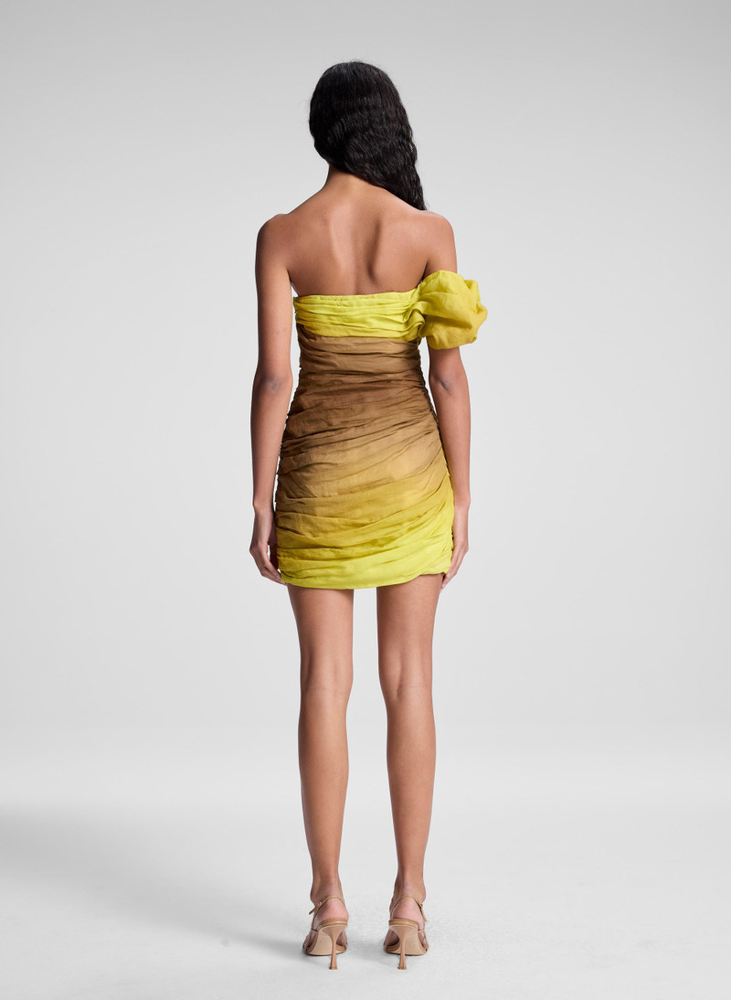 Kyler Mini Dress 6
