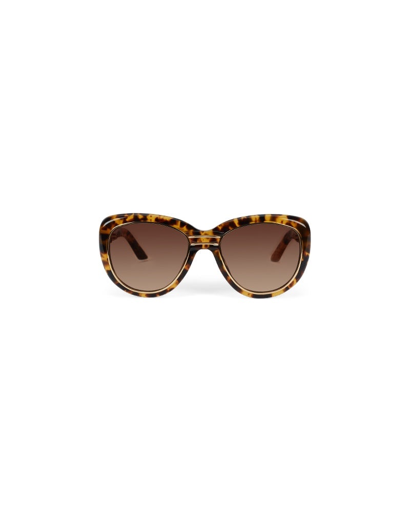 Gold & Brown The Wing Sunglasses - 2