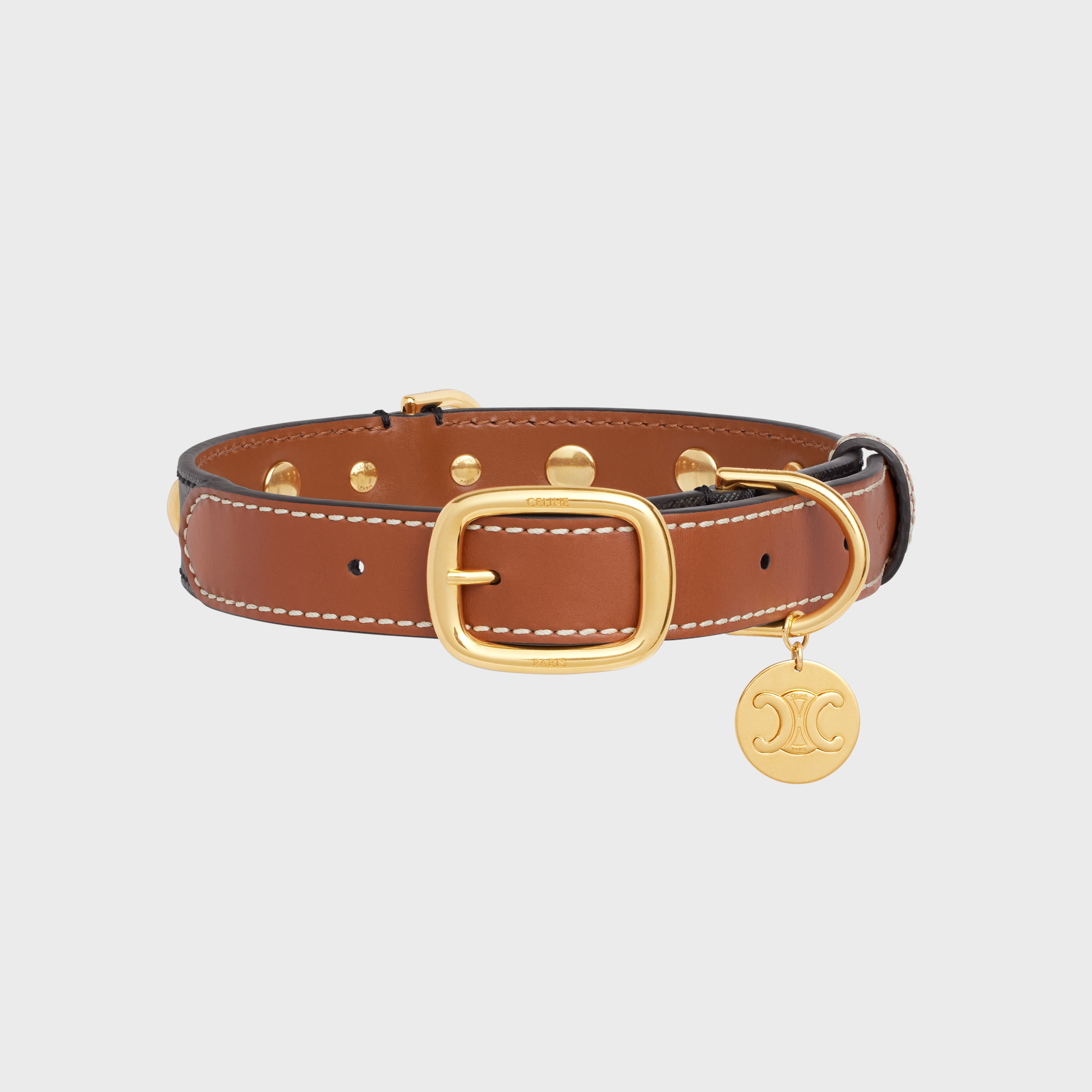 Large Medium Dog Collar in Triomphe Canvas and Calfskin - 1