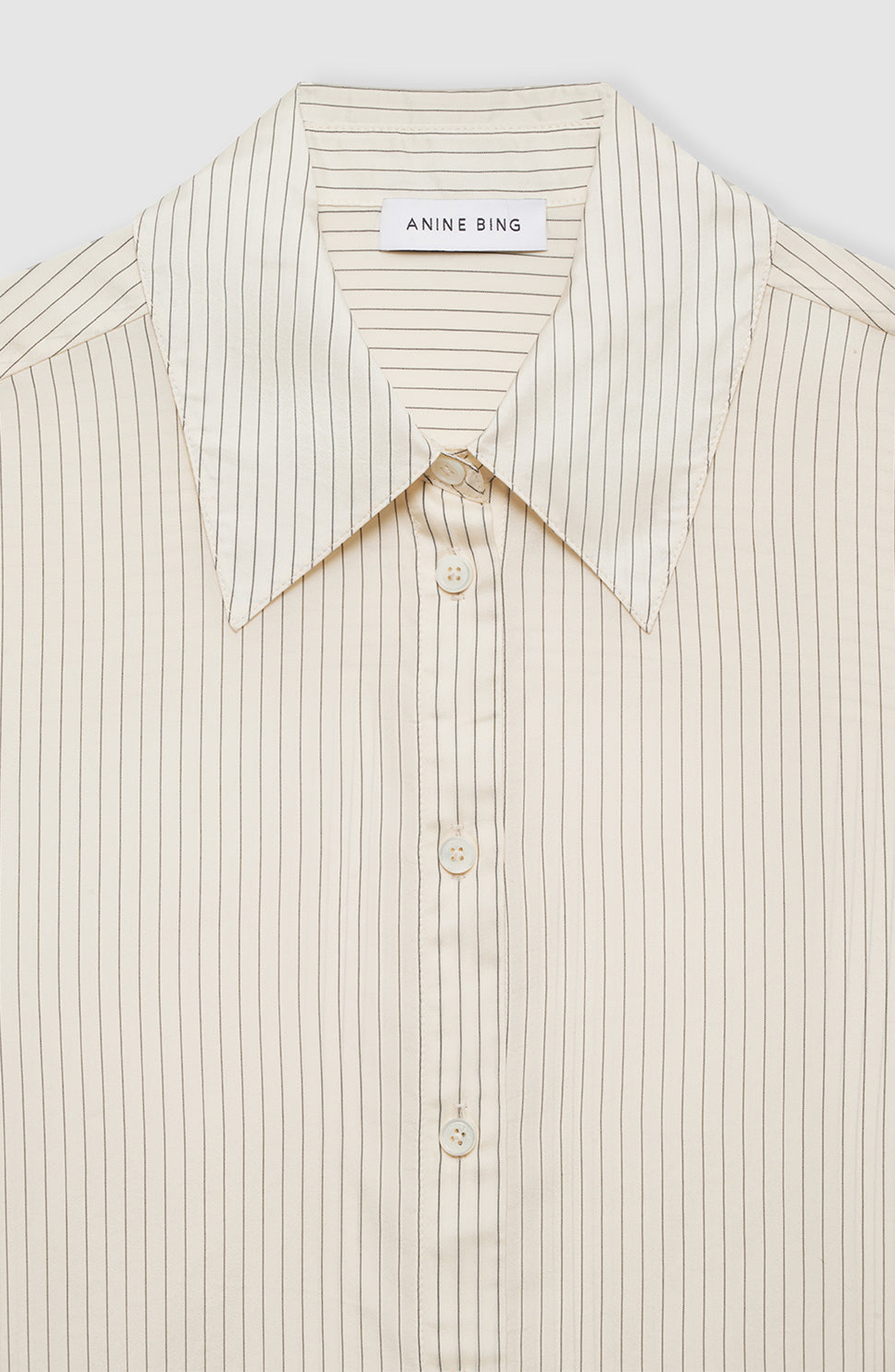 ANINE BING Bridget Shirt in Ivory /Black Pinstripe at Nordstrom - 3