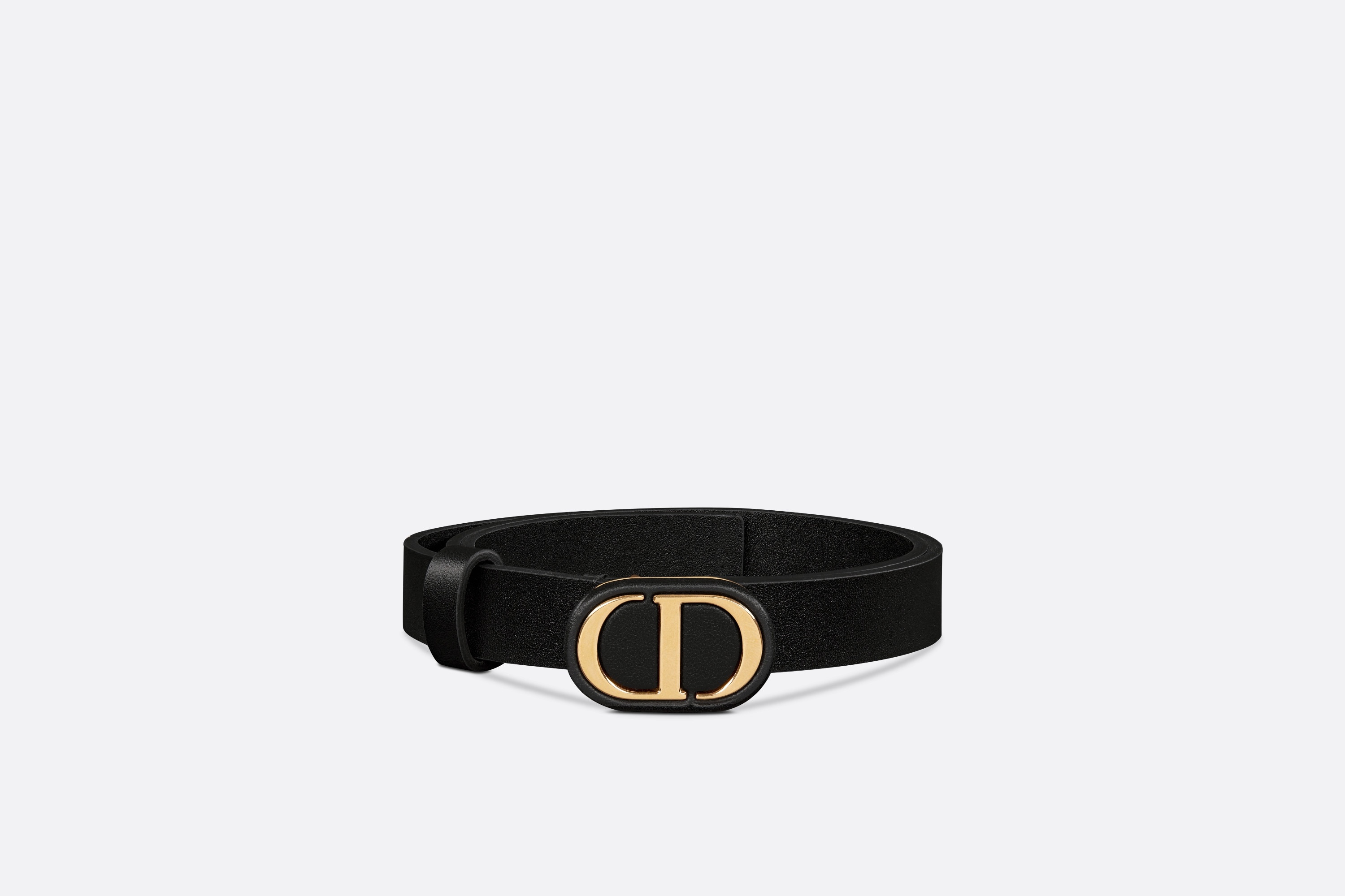 Dior Bobby Belt with Removable Pouch - 3
