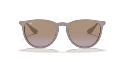 Ray-Ban ERIKA CLASSIC outlook