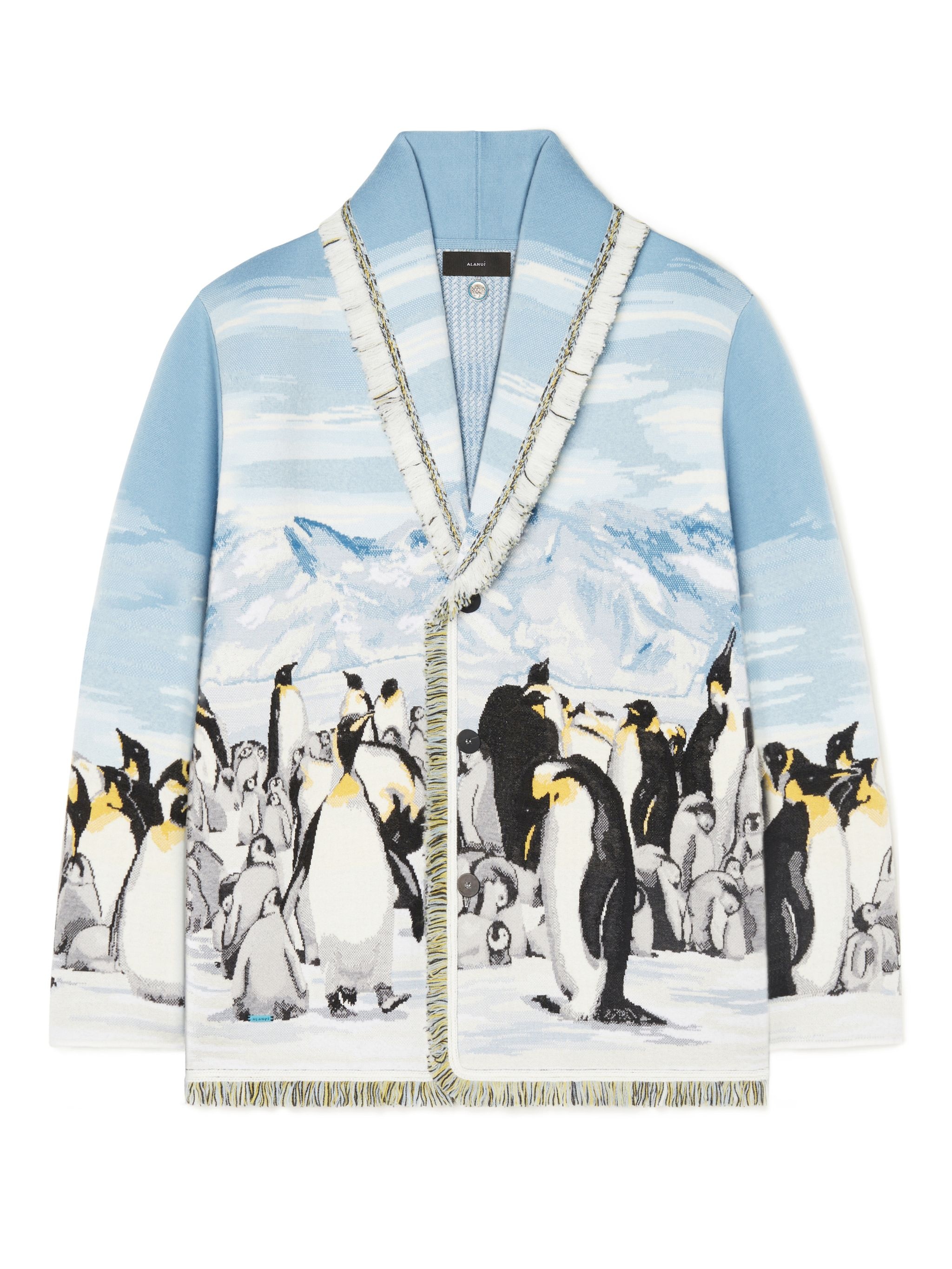 Postcard From Antarctic Cardi - 1