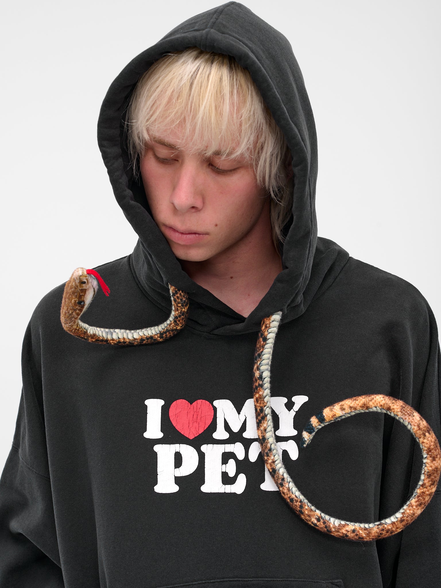 Black Pet Snake Graphic Hoodie - 5