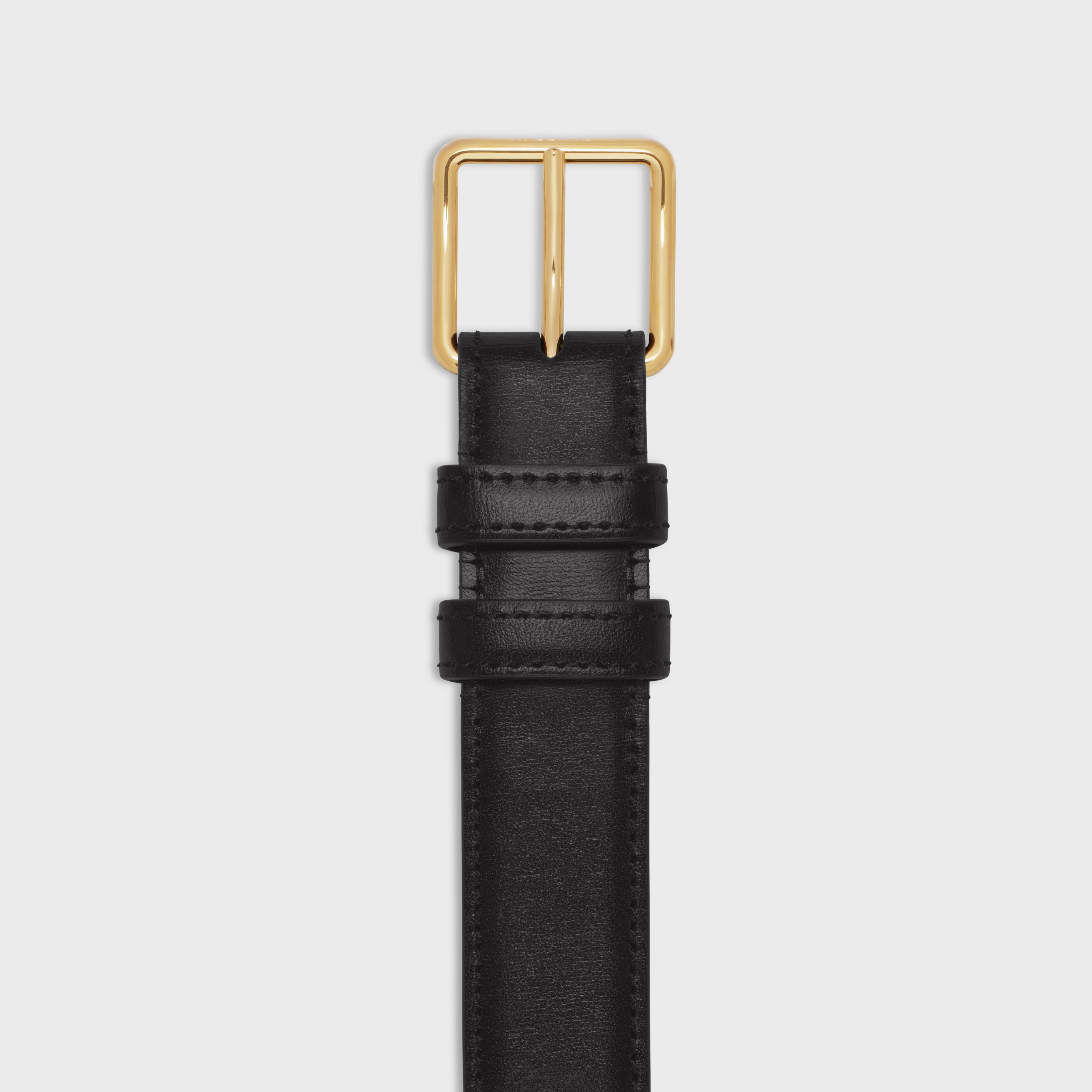 BELT BAG TRIOMPHE BELT in SHINY CALFSKIN - 2