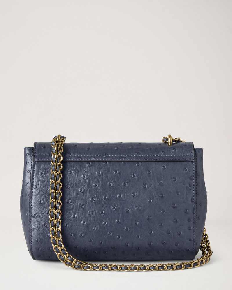 Mulberry Lily
Stormy Blue Ostrich outlook