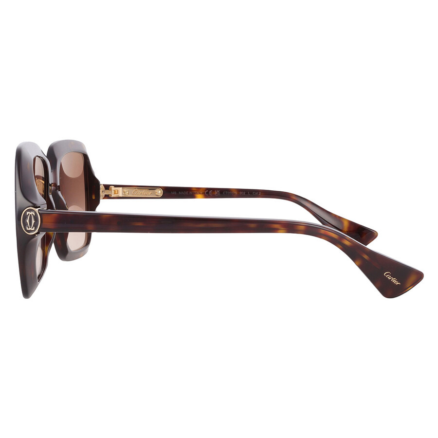 Cartier C Decor Brown Multi Treatment Square Ladies Sunglasses CT0507S 002 54 - 4