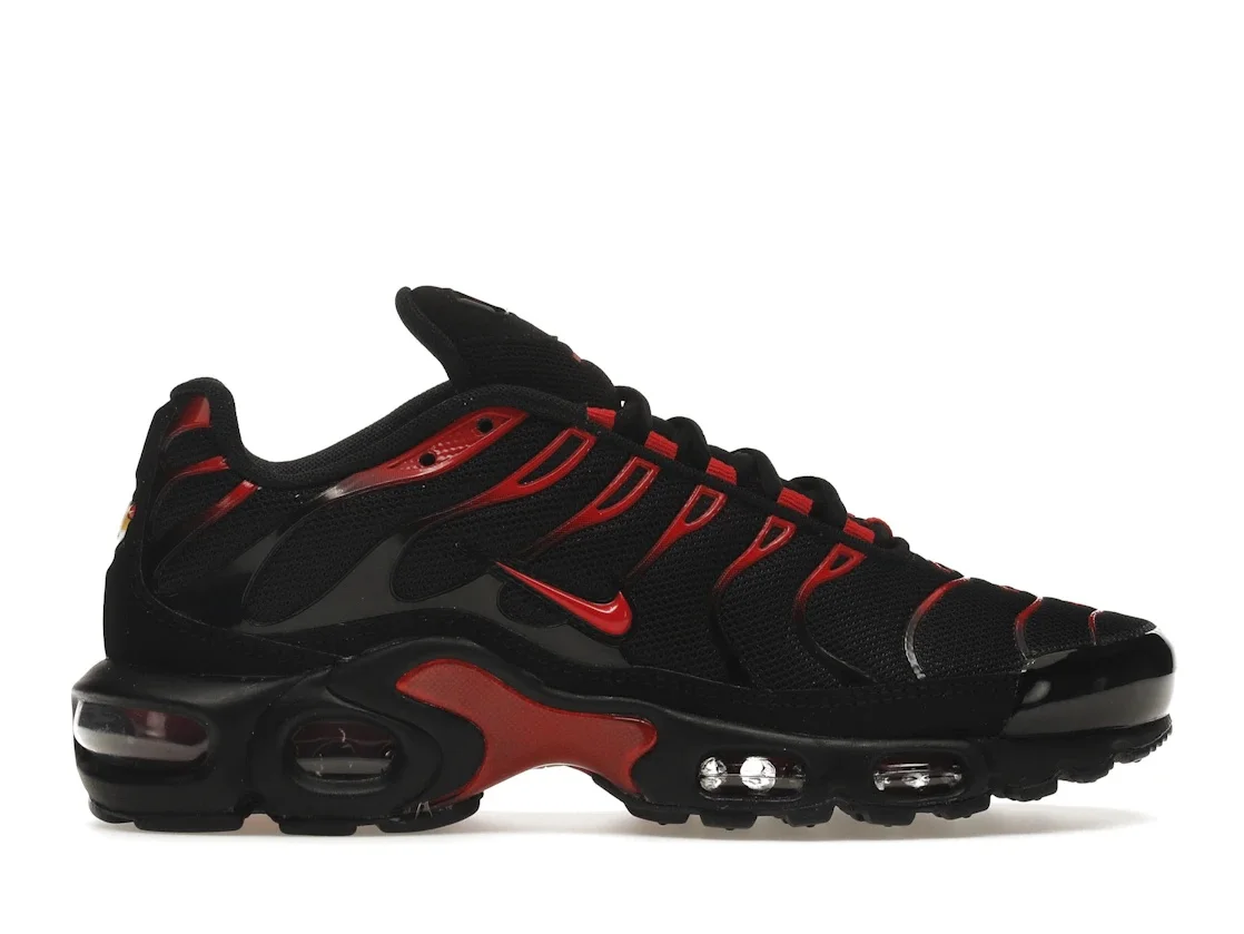Nike Air Max Plus Bred - 1