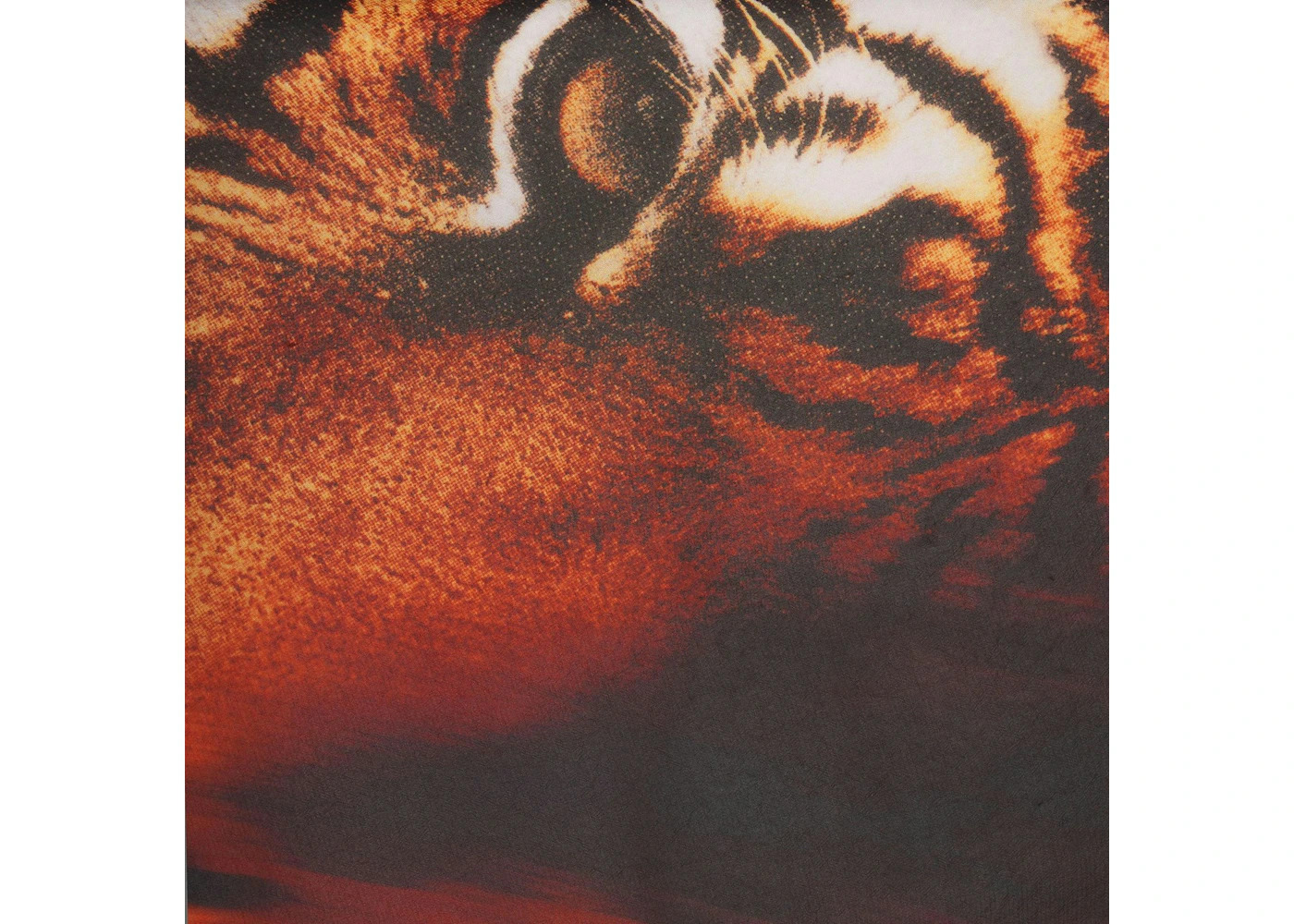 SKIMS x Roberto Cavalli Tie Side Mini Skirt Tiger Face Print - 2