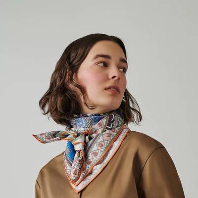 Hermès Objets de Curiosite scarf 90 outlook