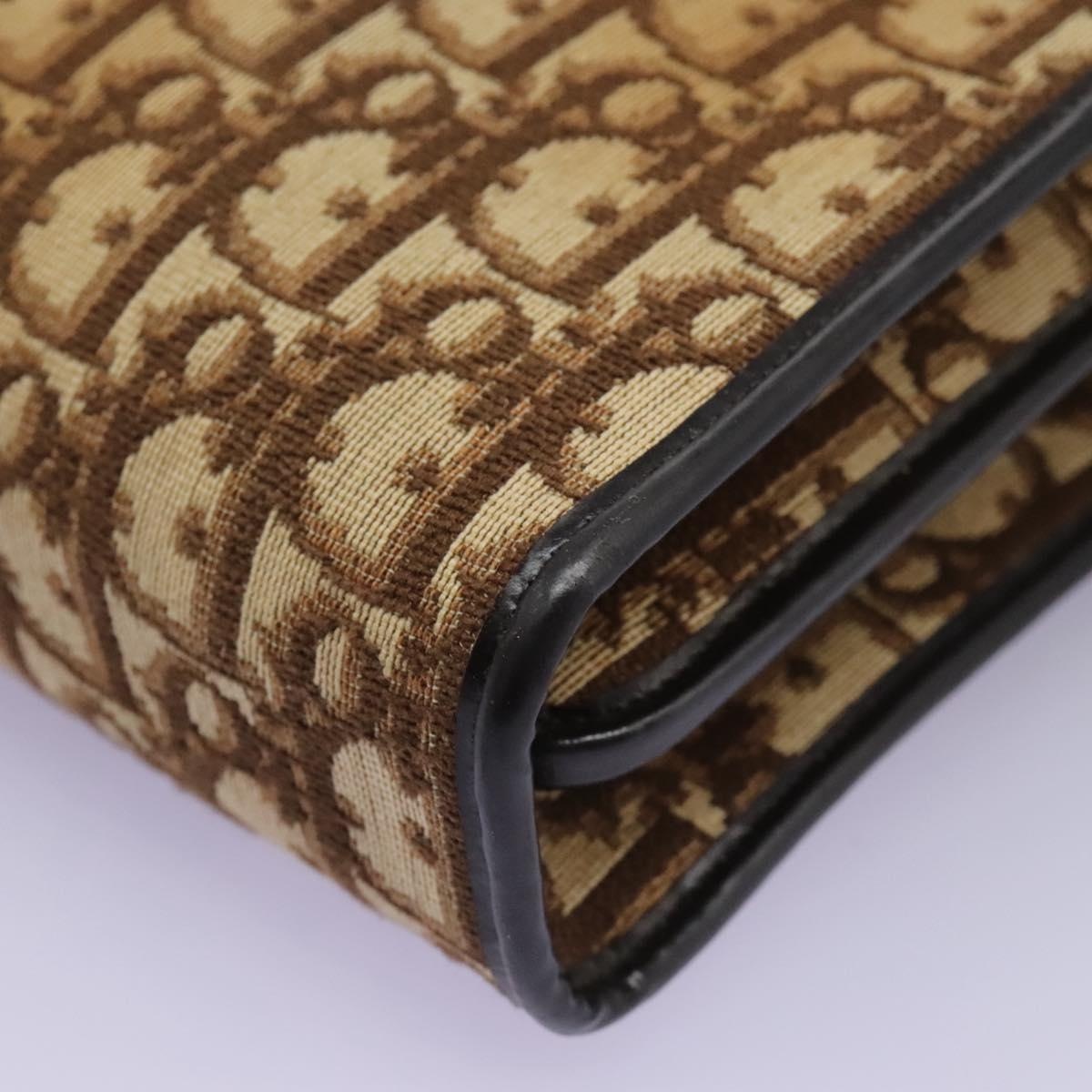 DIOR Trotter Canvas Hand Bag Brown - 14