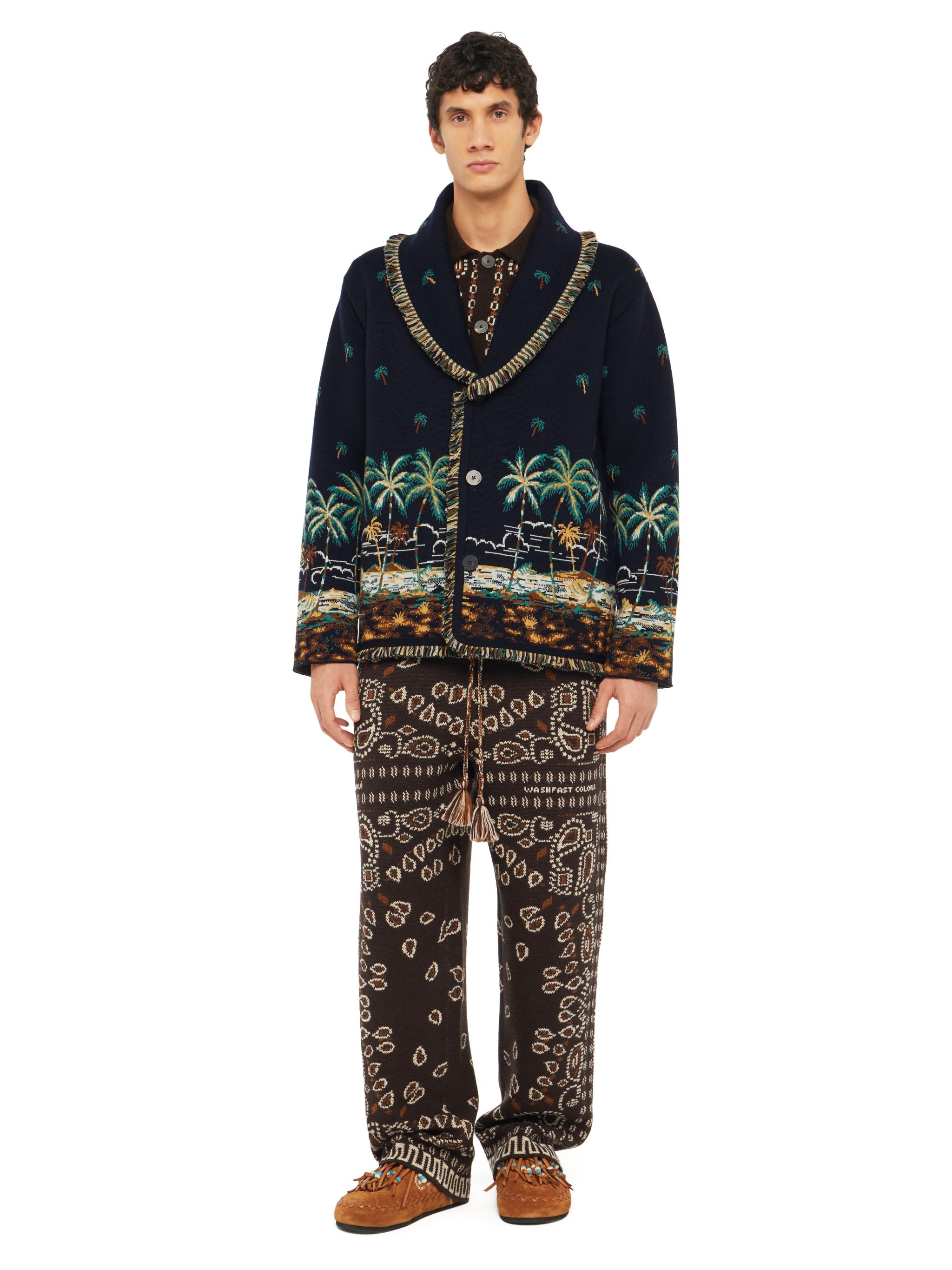 The Tale Of A Hawaiian Cardigan - 4