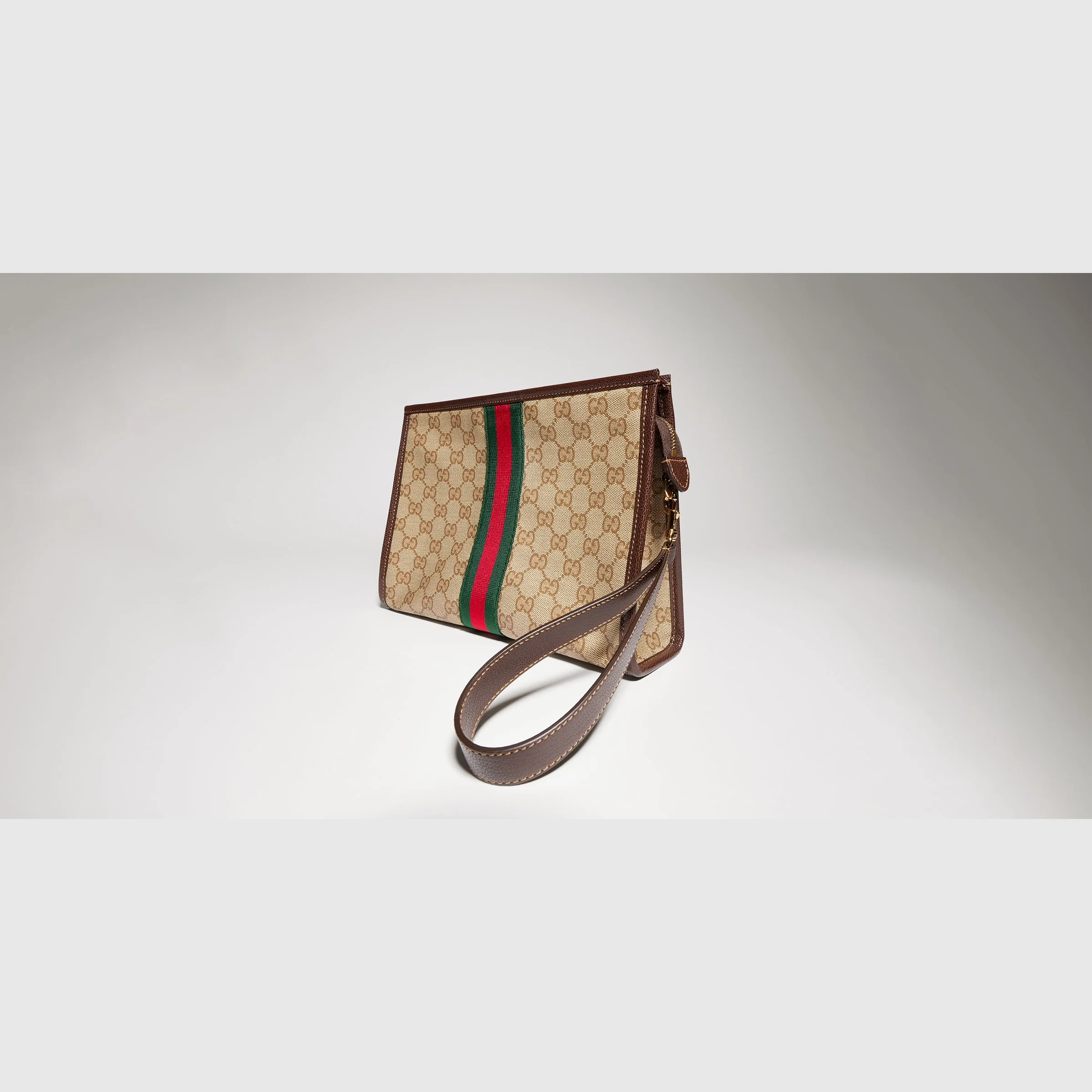 Pouch with Web - 1
