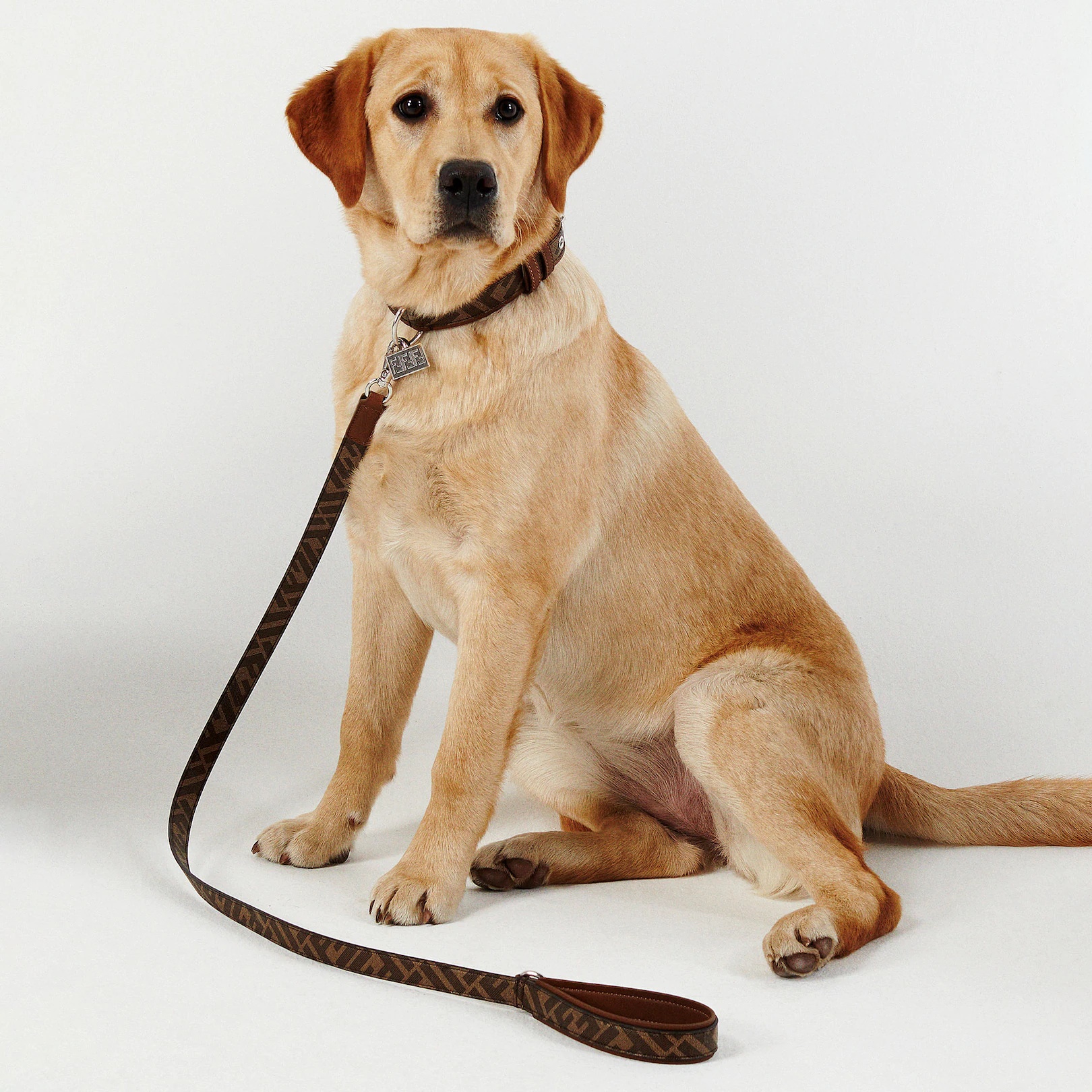 Dog lead with ring and clip customised with Fendi lettering. Made of fabric with FF motif in brown a - 3