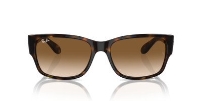 Ray-Ban RB4388 outlook