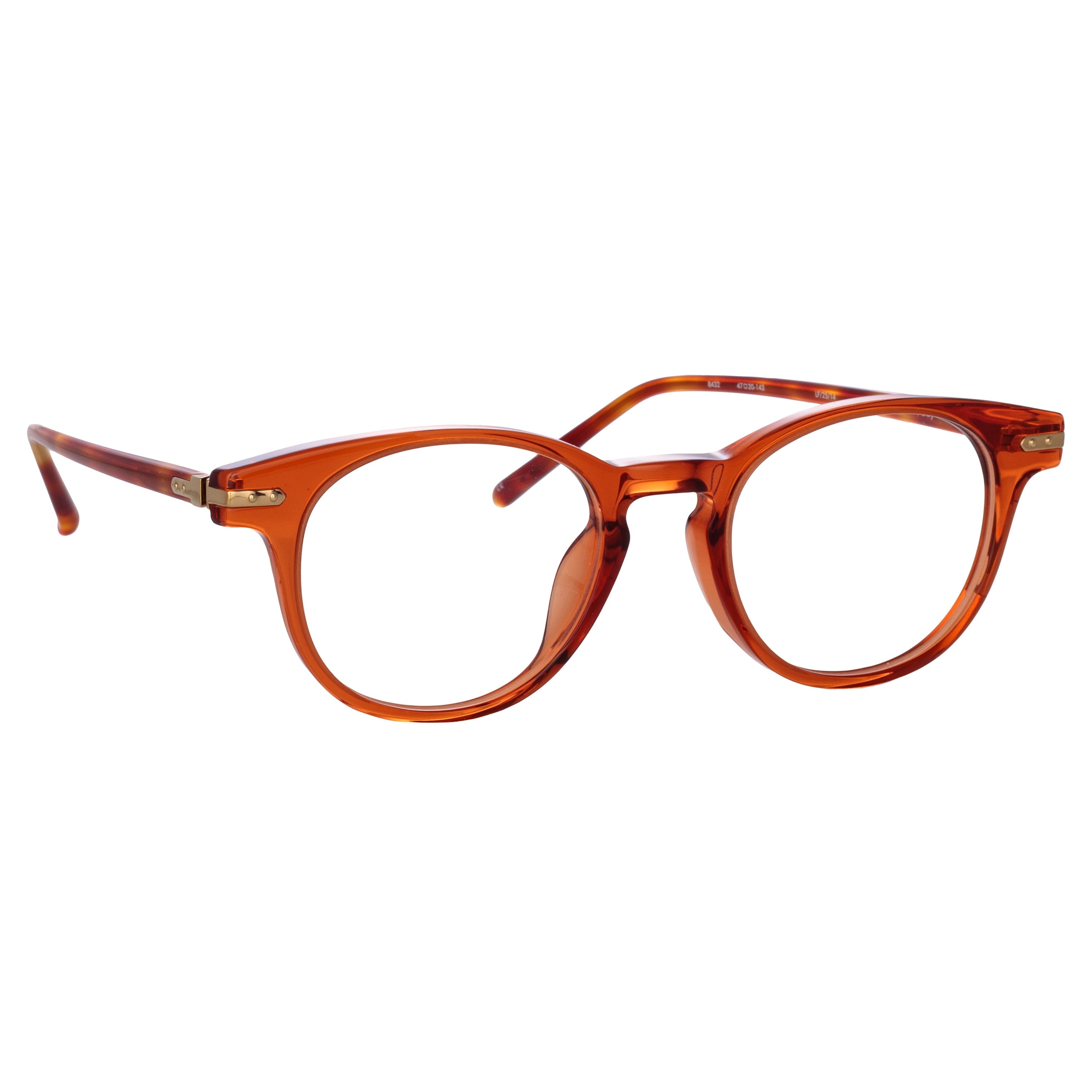Bay Optical Frame in Amber - 5