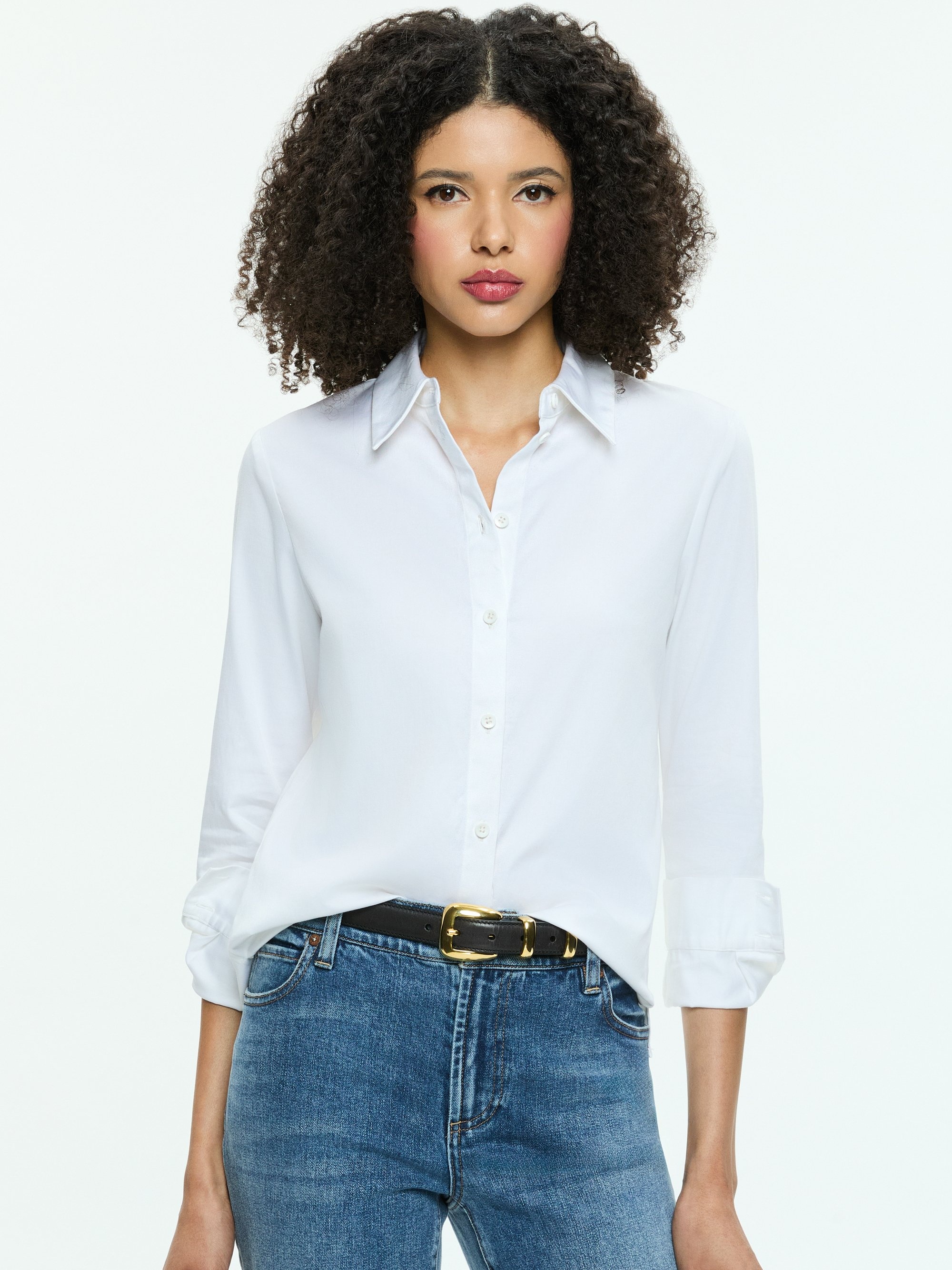PERFECT BUTTON DOWN - 2