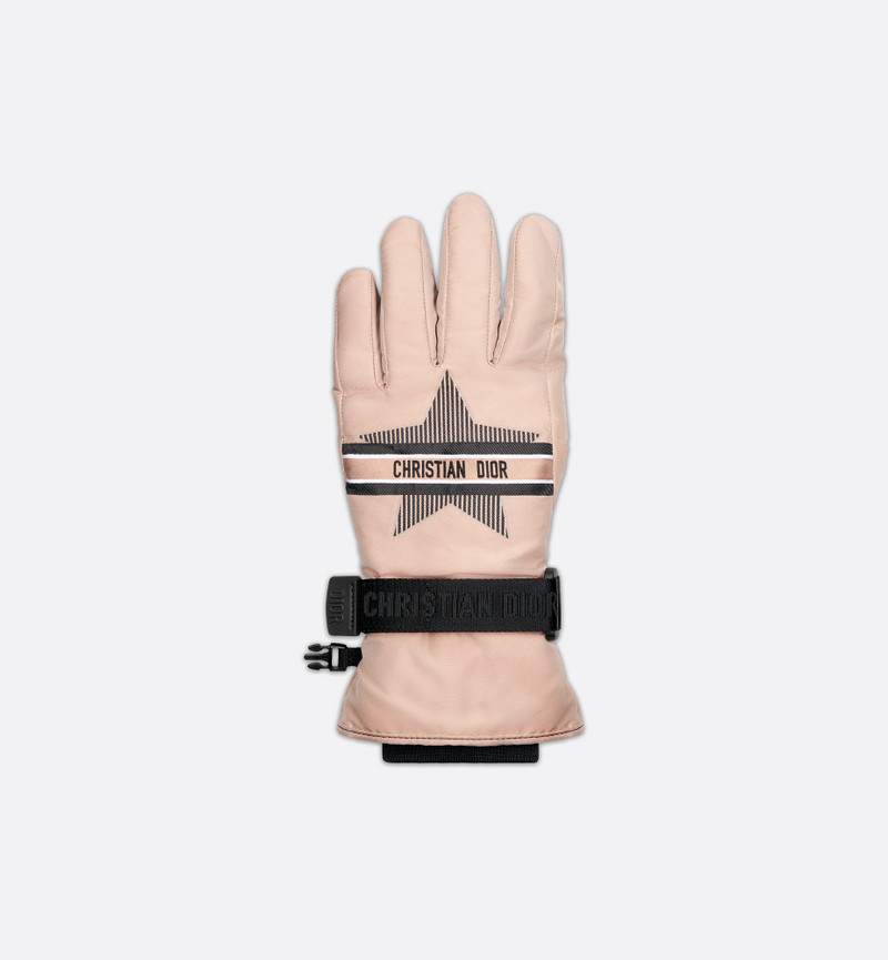 DiorAlps Ski Gloves 3