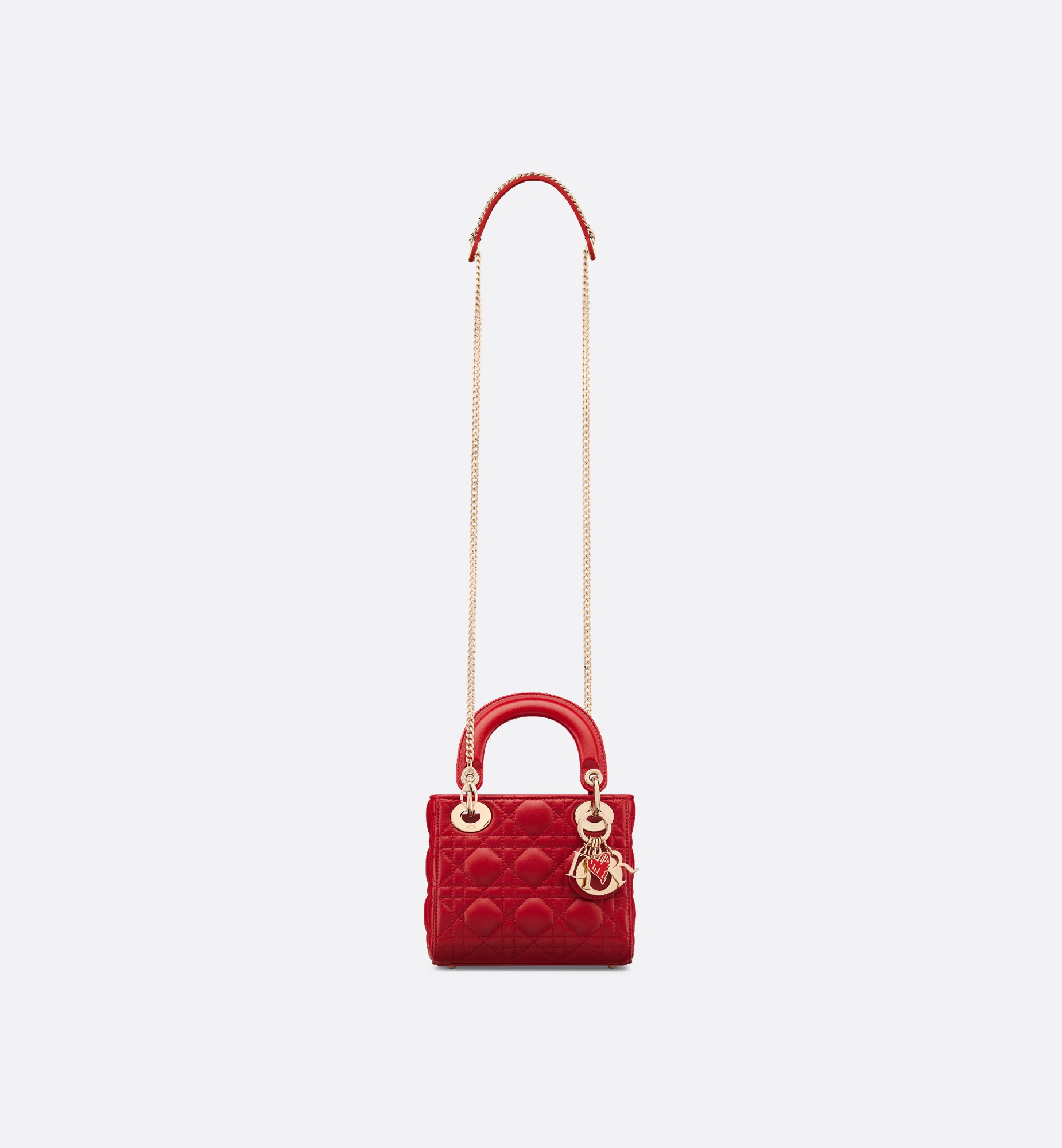 Dioramour Mini Lady Dior Bag - 5