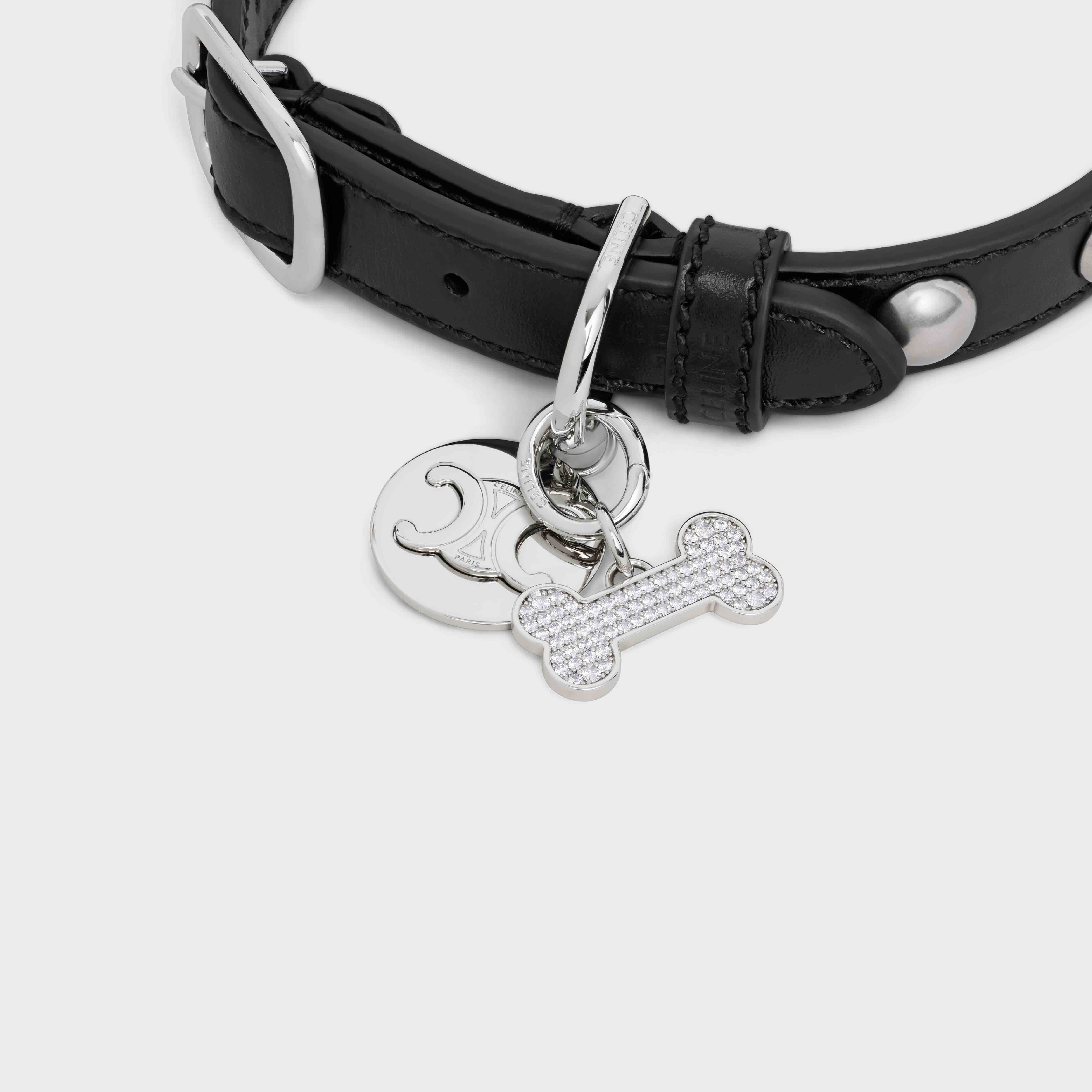 Bone strass dog medal in brass - 4