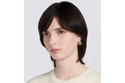 Dior Dior Tribales Earrings outlook