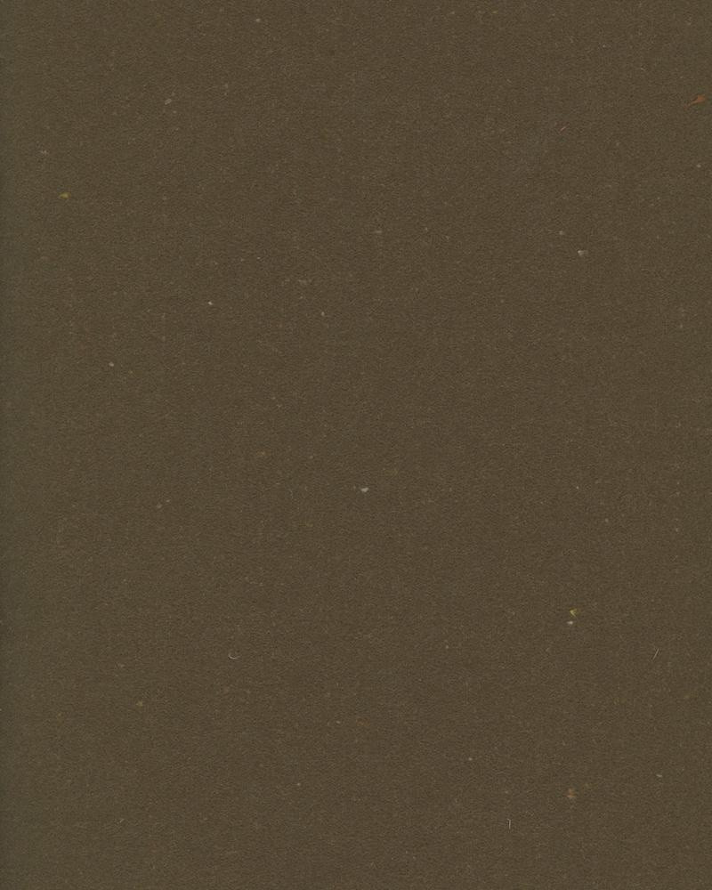 COMMODORE COAT OLIVE 3