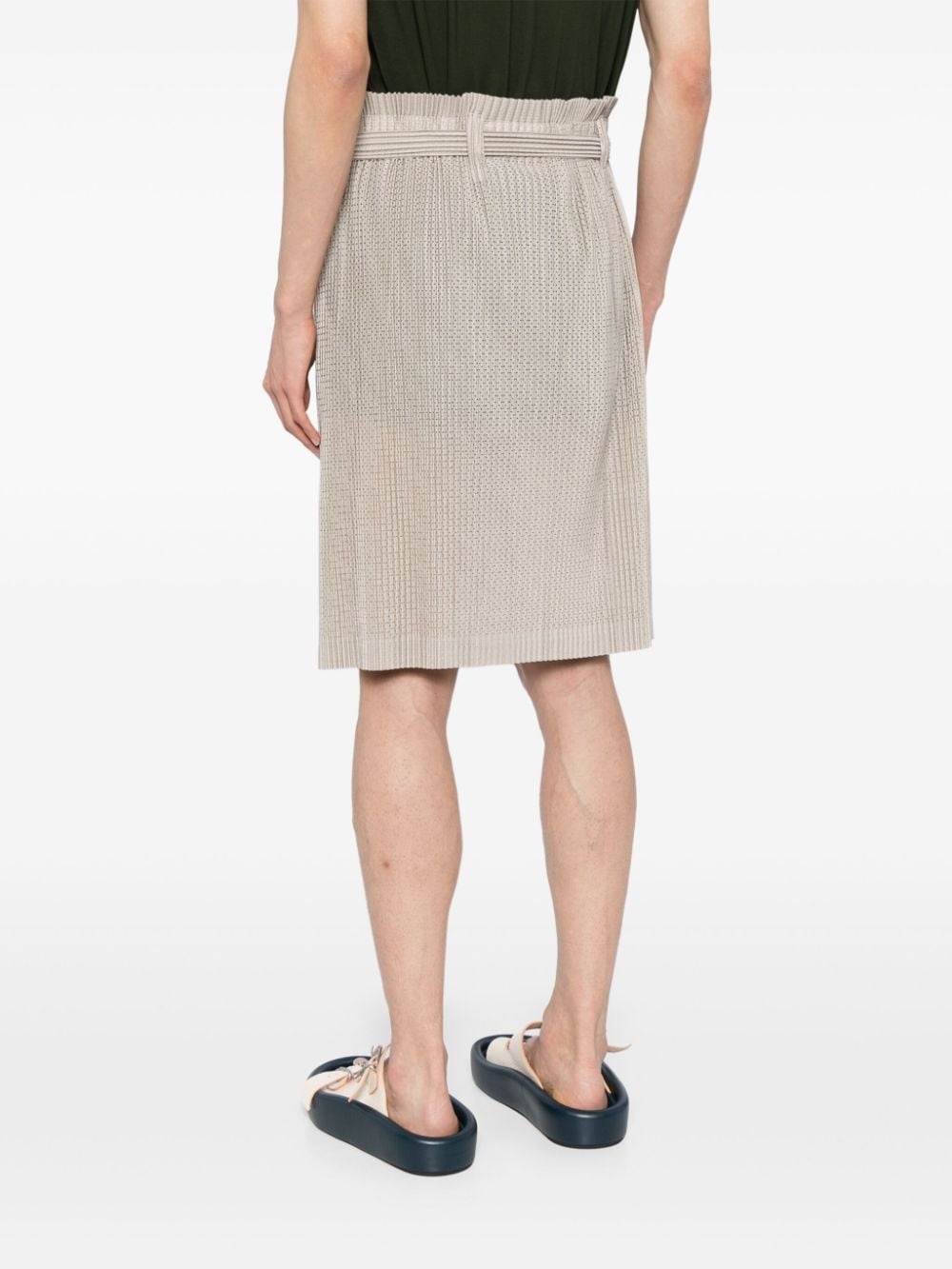 Light Mesh pleated skirt - 4