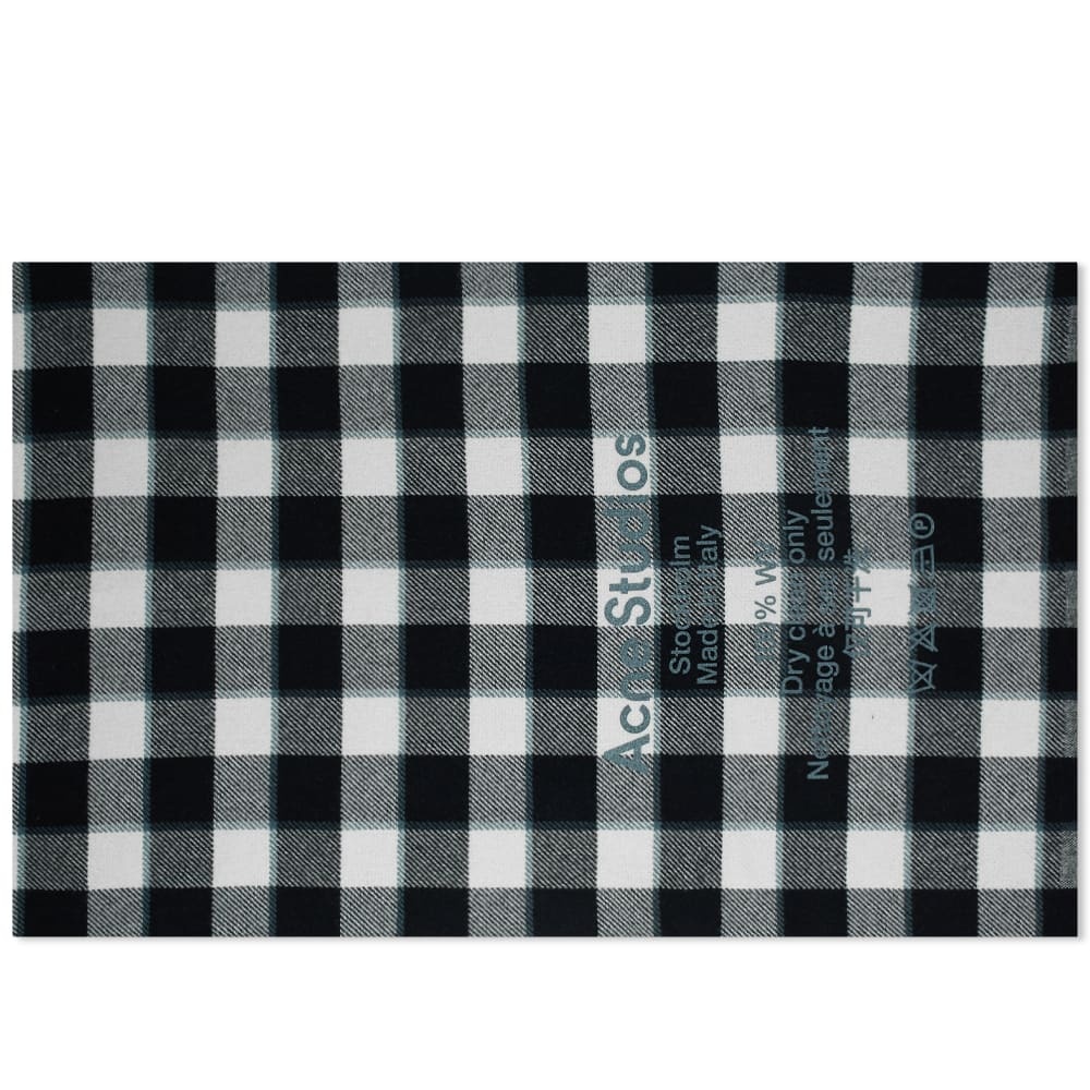 Acne Studios Cassiar Check Scarf - 1