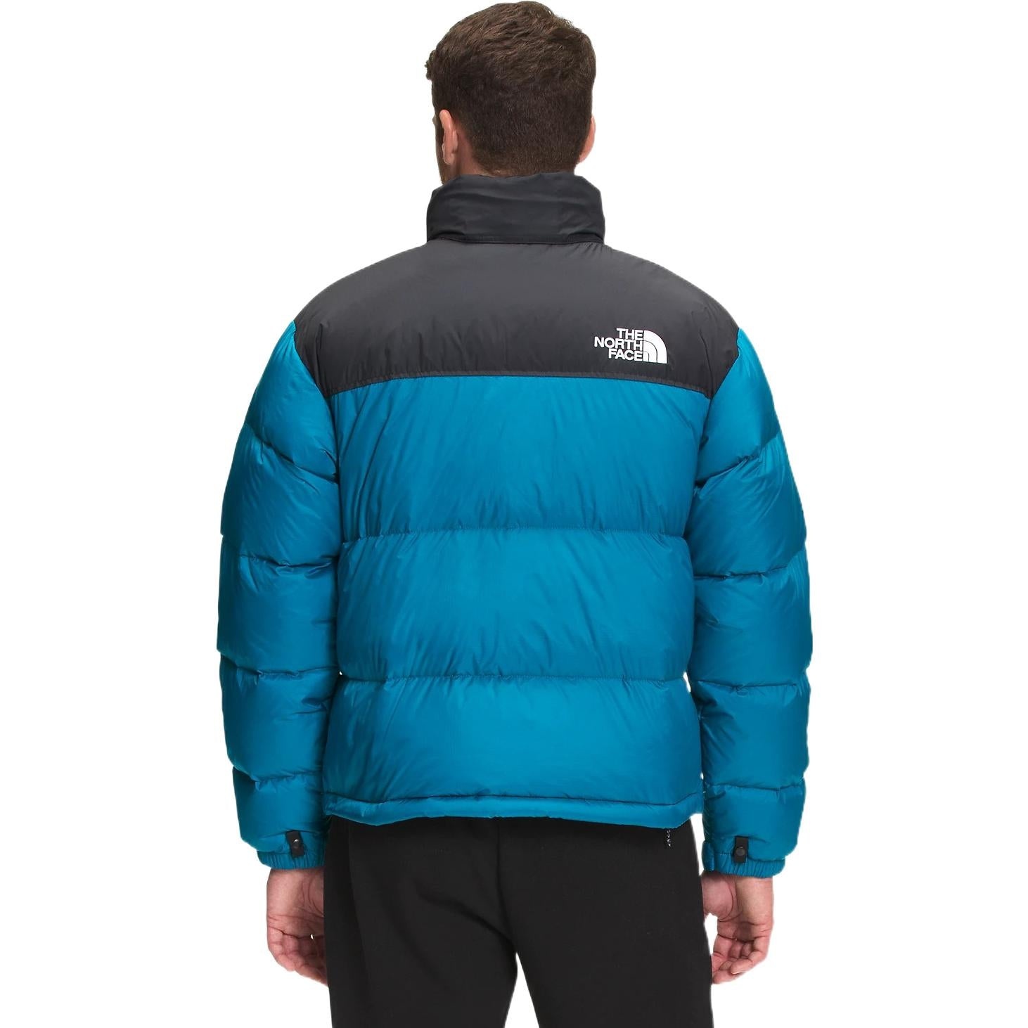 THE NORTH FACE 1996 Retro Nuptse 700 NF0A3C8D-M19 - 3