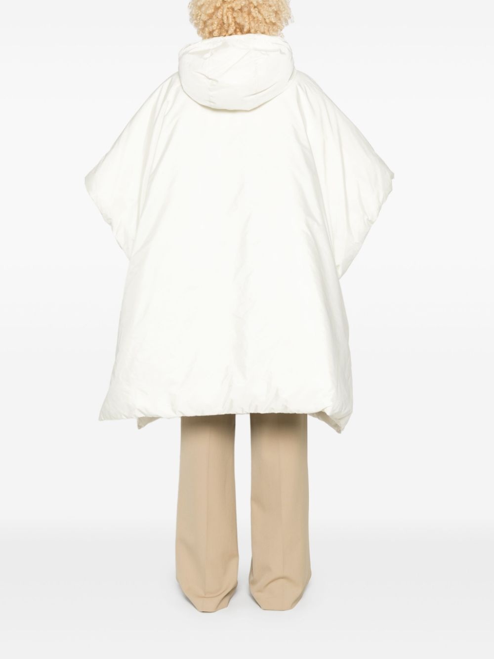 Mantella poncho - 4