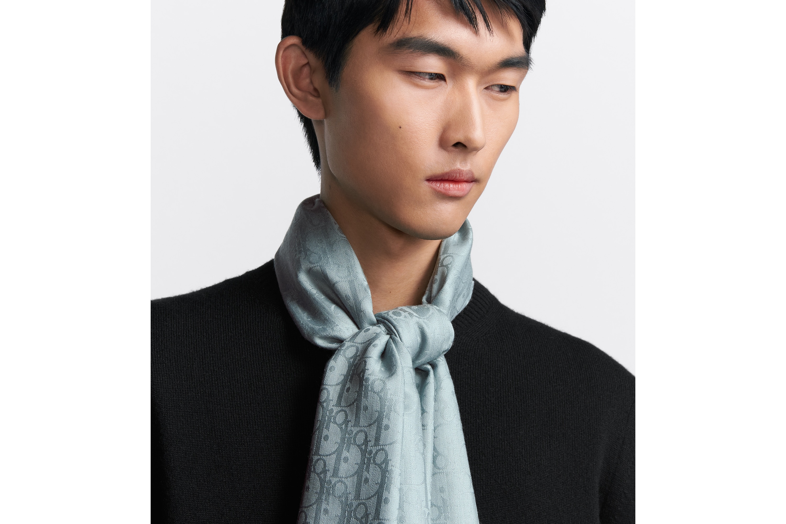 Dior Oblique Stole - 3