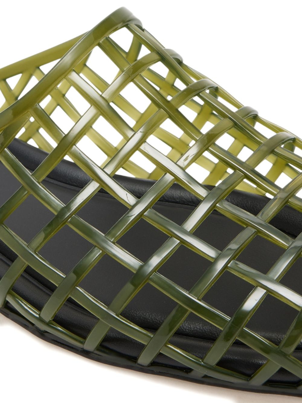 Barcelona caged mules - 3