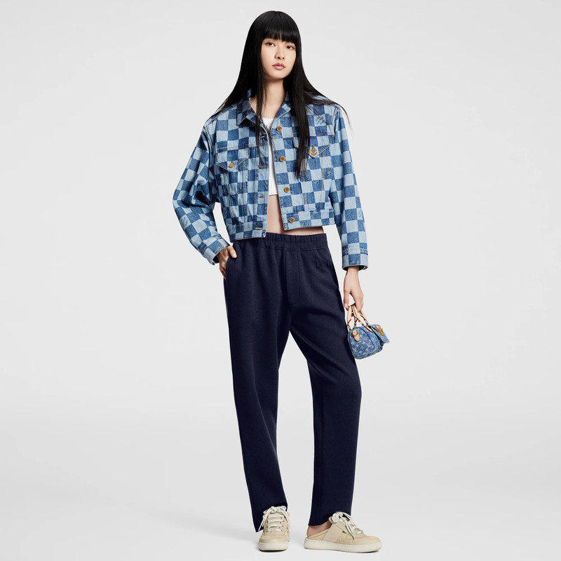 Louis Vuitton Damier Denim Jacket outlook