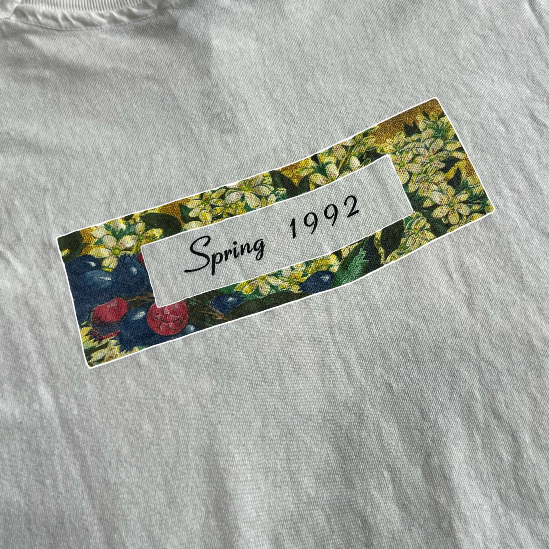 Final Blow - Vintage Ten Thousand Maniacs "Our Time in Eden" T-Shirt SZ L - 8