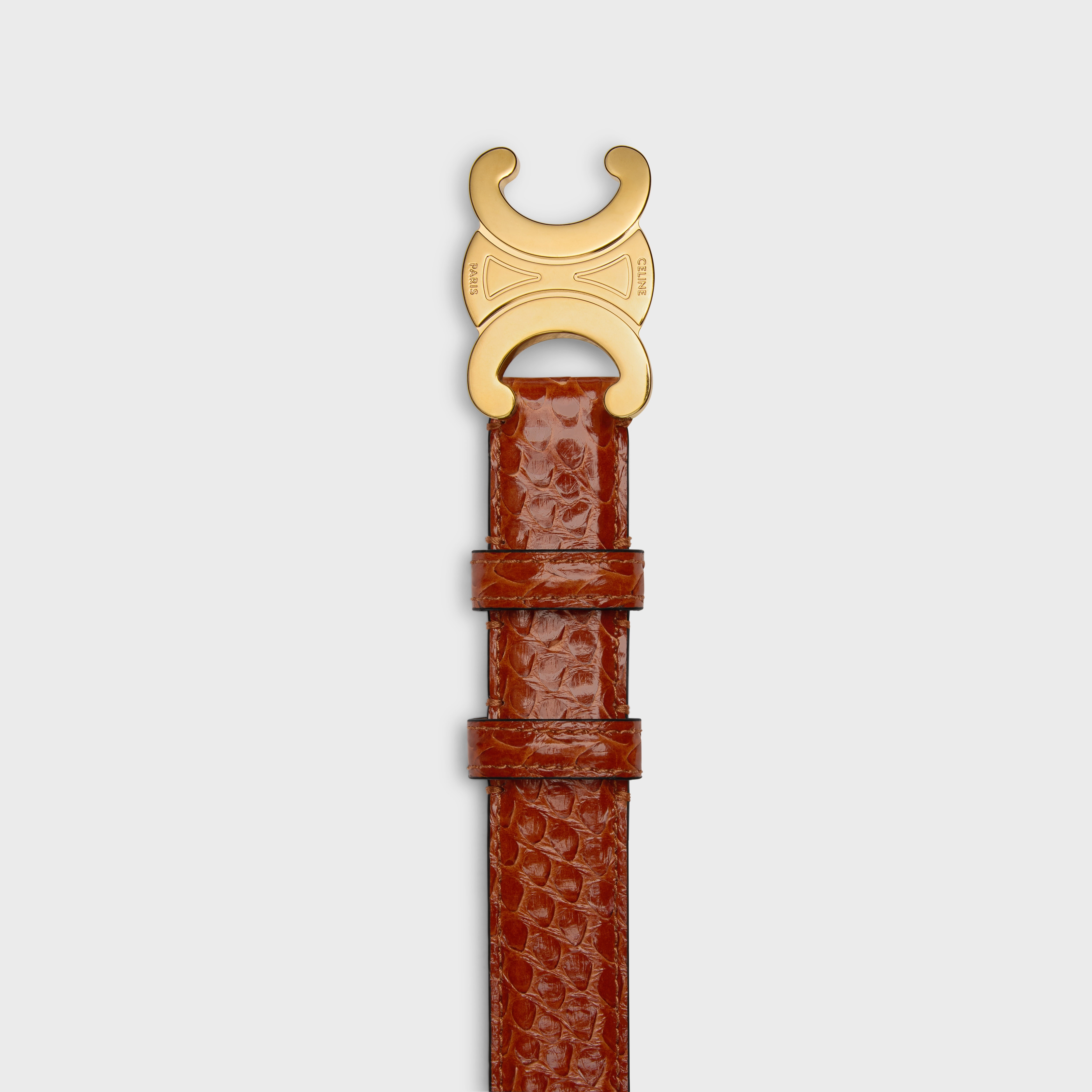 Medium Triomphe Belt in PYTHON - 2