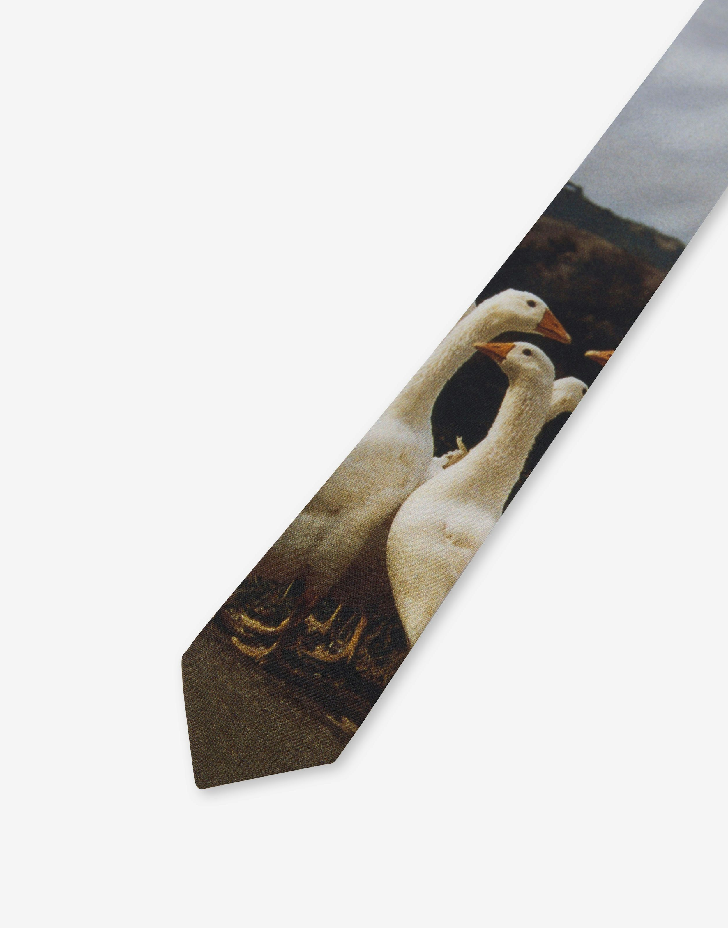 GOOSE PRINT SILK TIE - 3