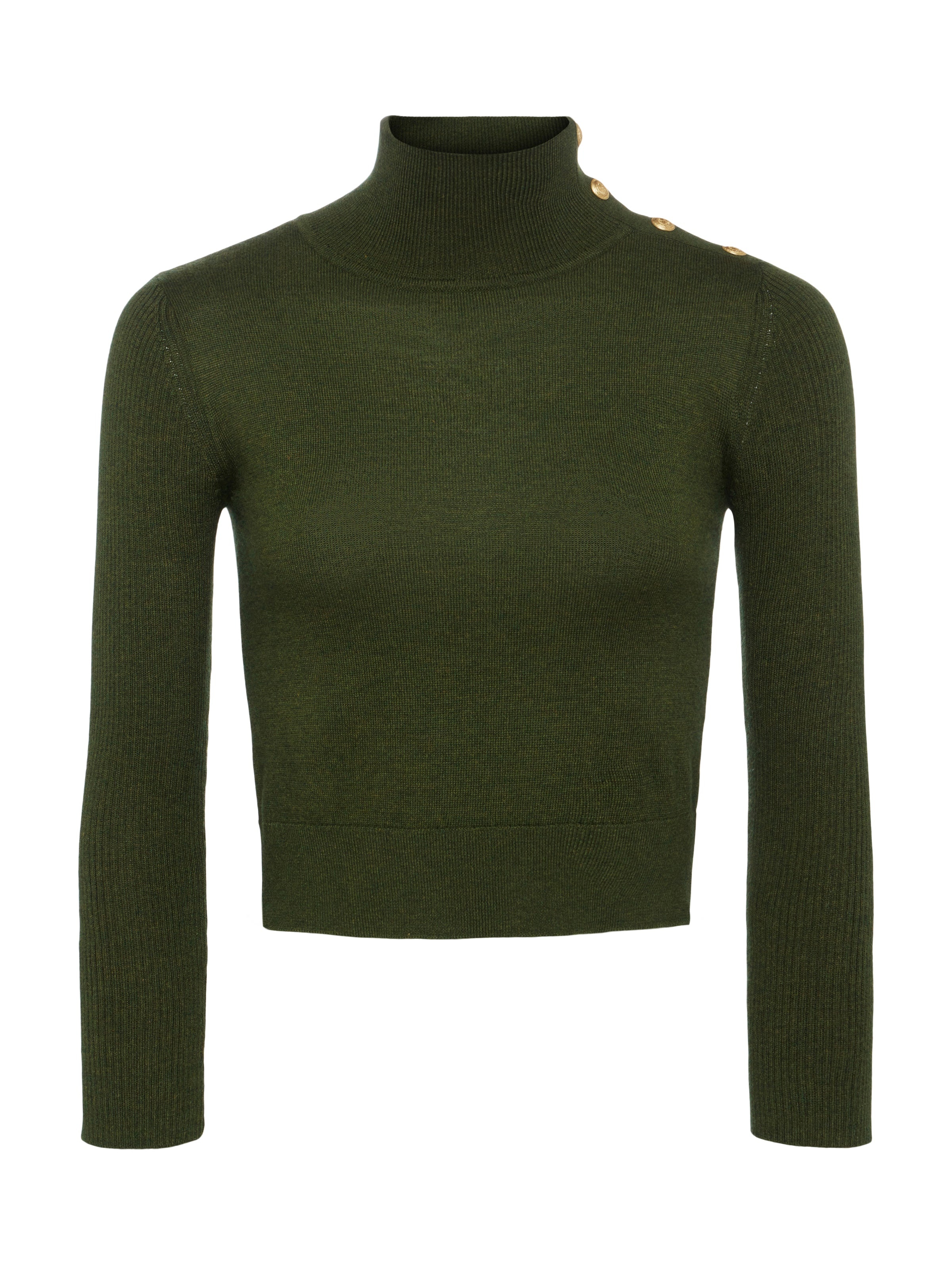 Kamdyn Cropped Turtleneck - 1