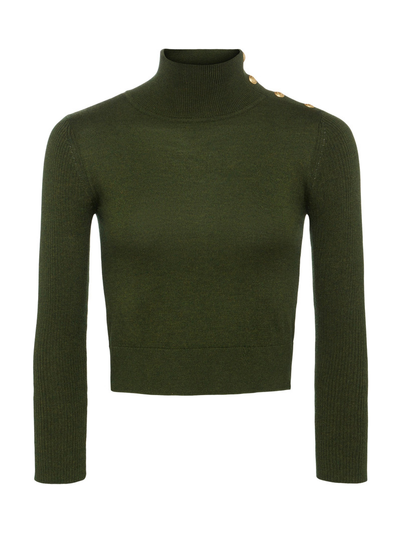Kamdyn Cropped Turtleneck 1