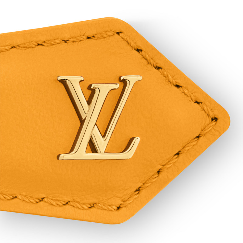 LV Backstage Hair Clip 3