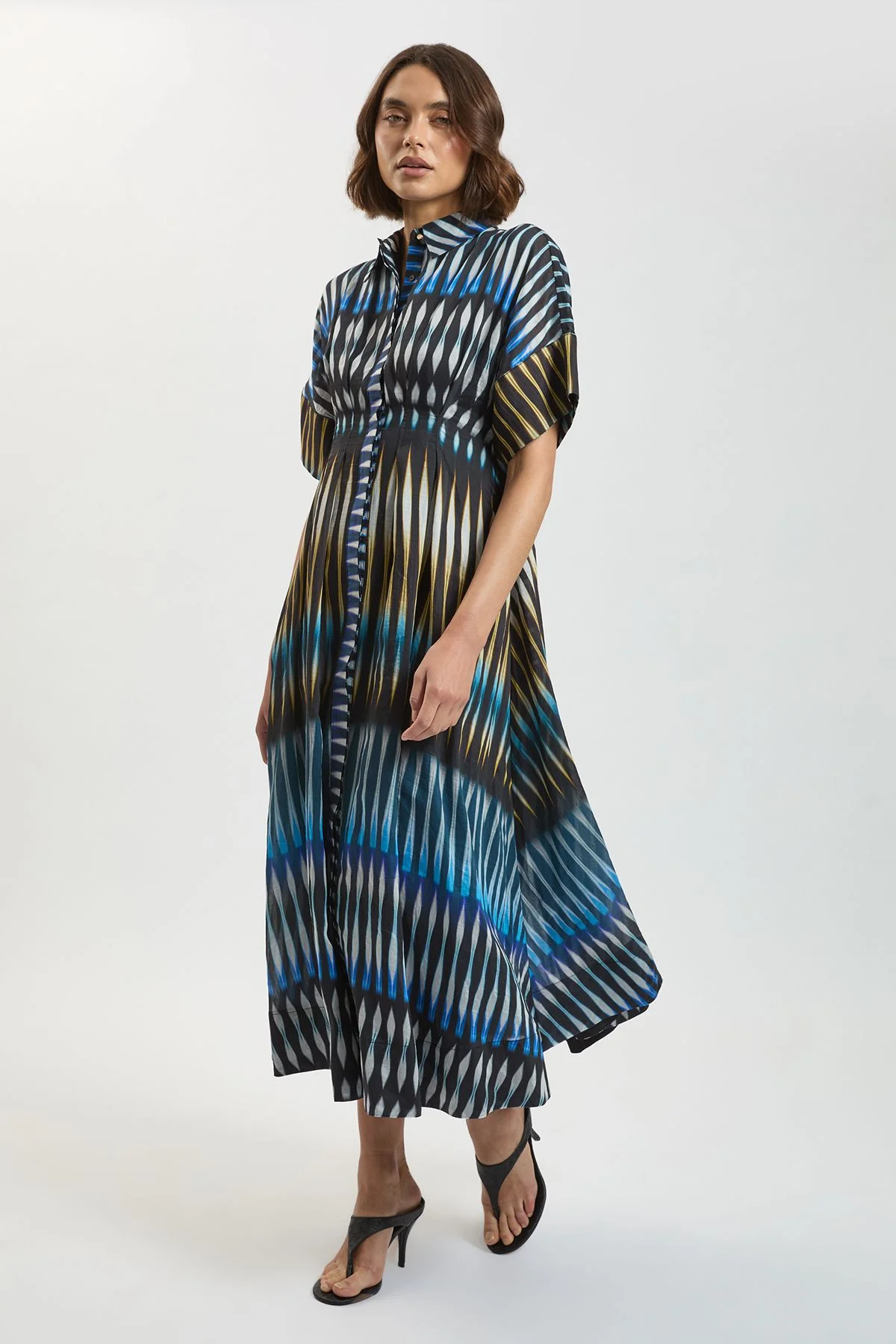 Stripe Collared Woven Midi Dress - 1