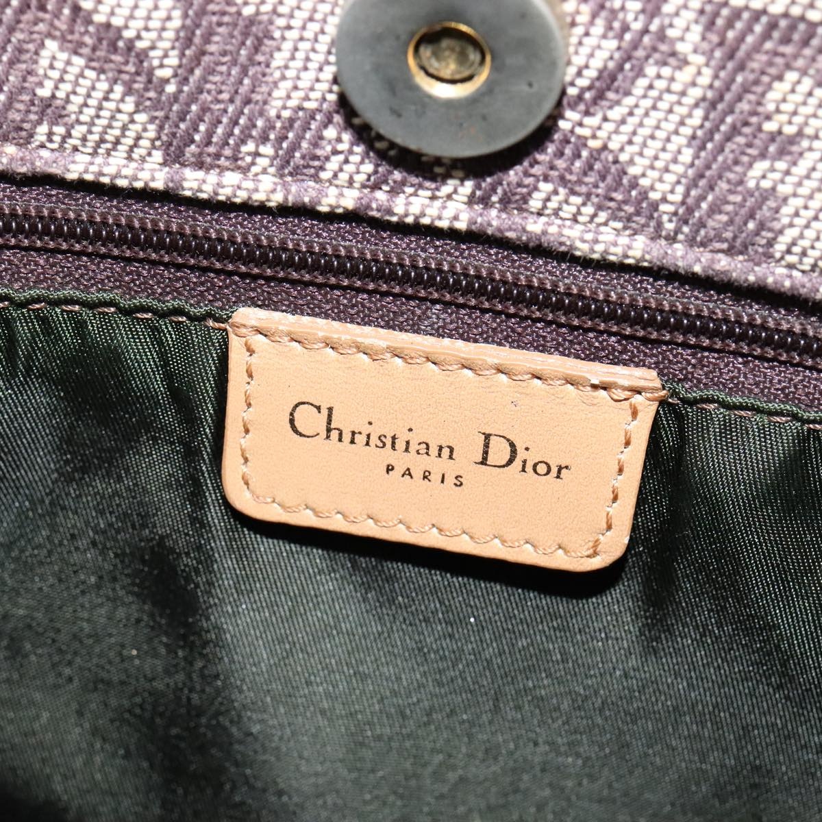 DIOR Trotter Canvas Hand Bag Brown Gold - 15