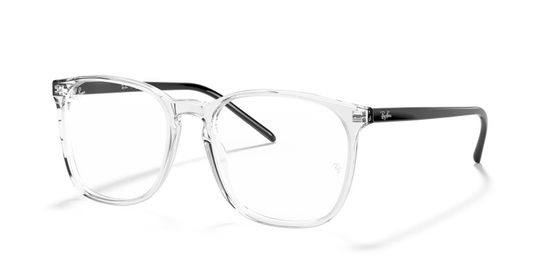 RB5387 OPTICS 1