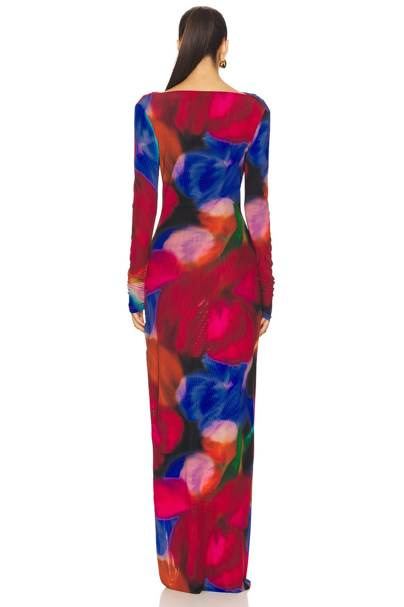 Cabaret Roses Maxi Dress 4